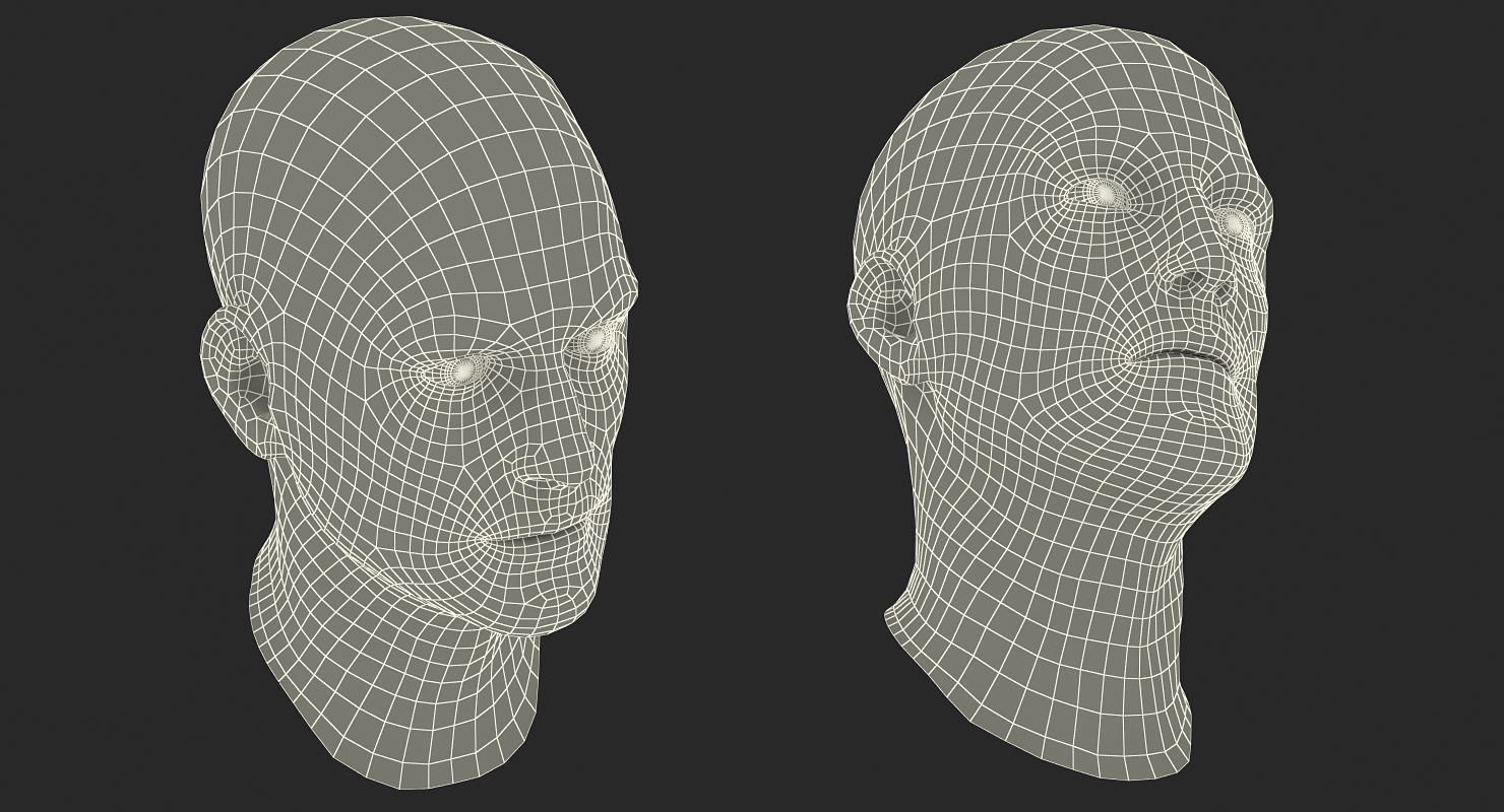 3D Male Head 6 Rigged model