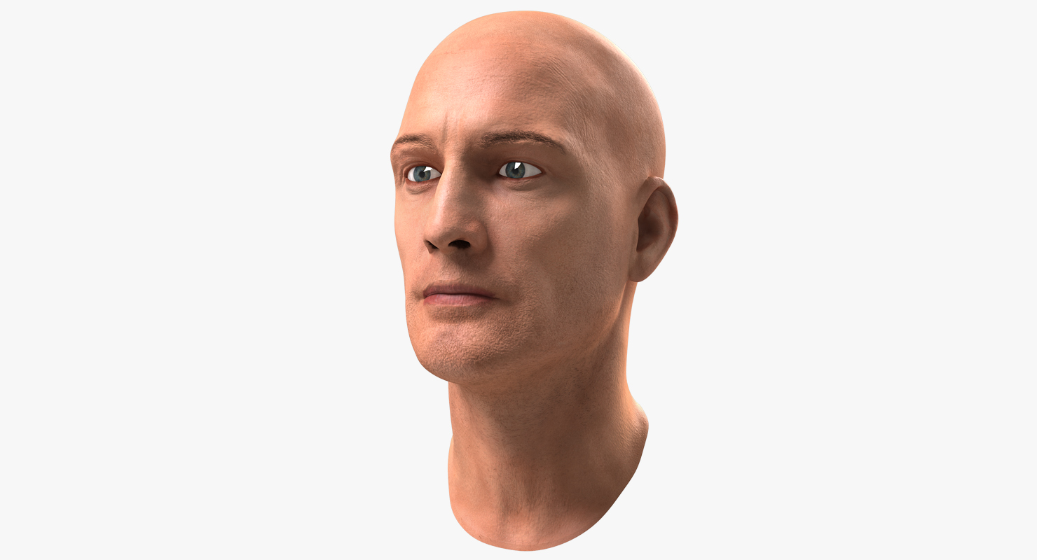 3D Male Head 6 Rigged model