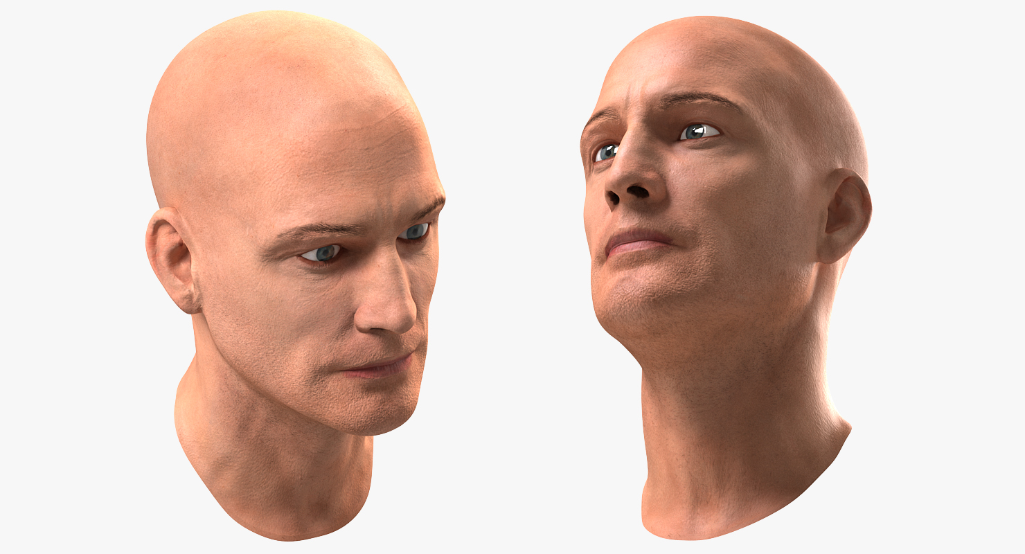 3D Male Head 6 Rigged model