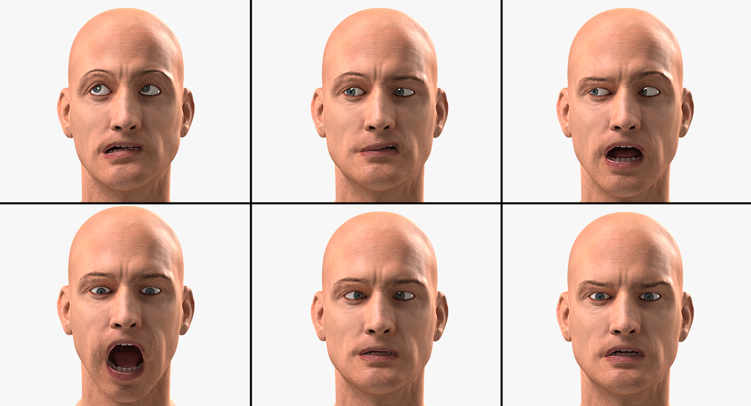 3D Male Head 6 Rigged model