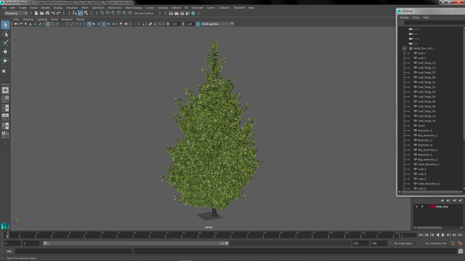 3D model Holly Tree
