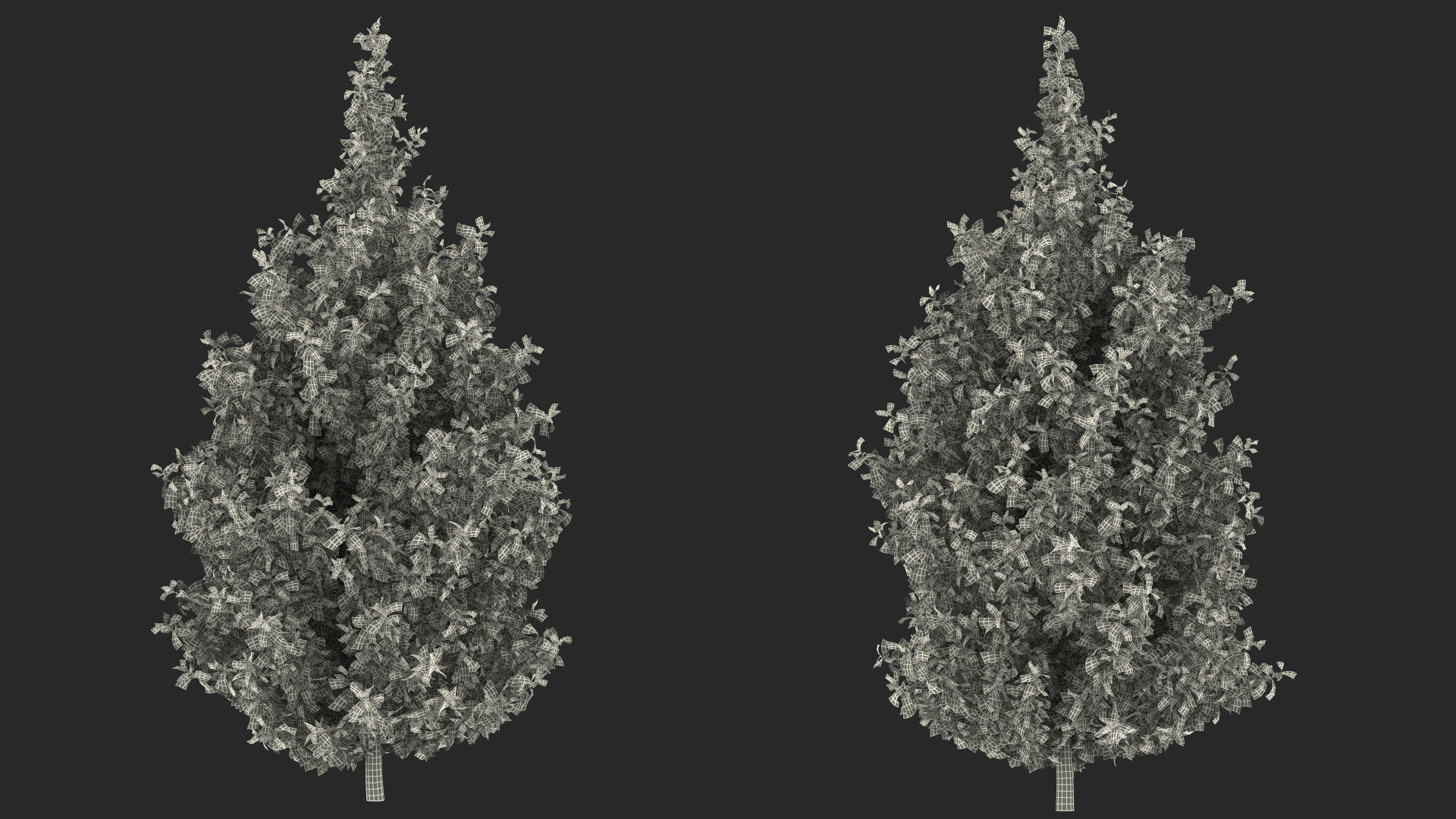 3D model Holly Tree