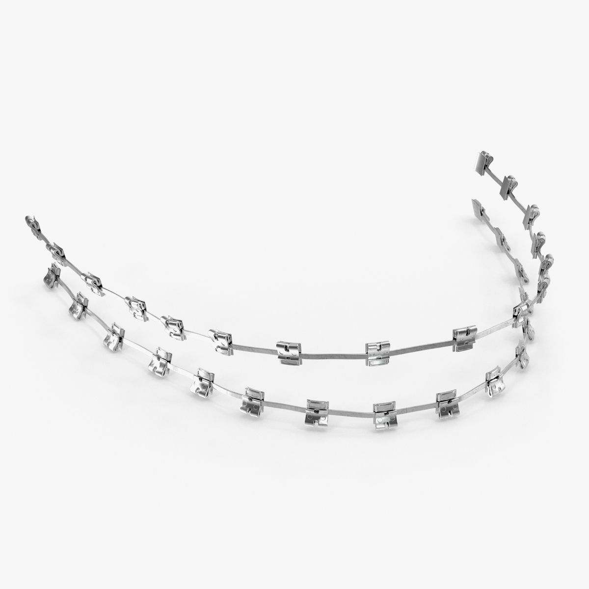 Braces Medical Model