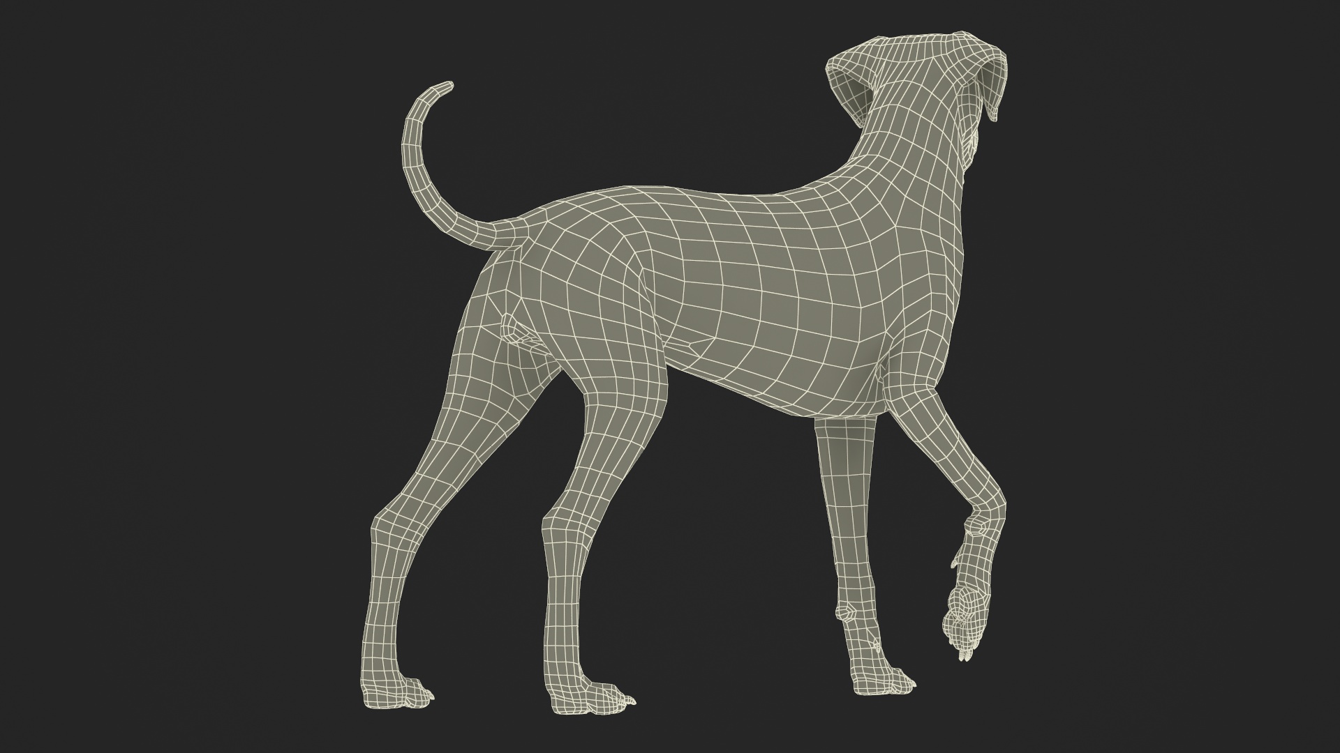 3D Dalmatian Dog Standing Pose Fur