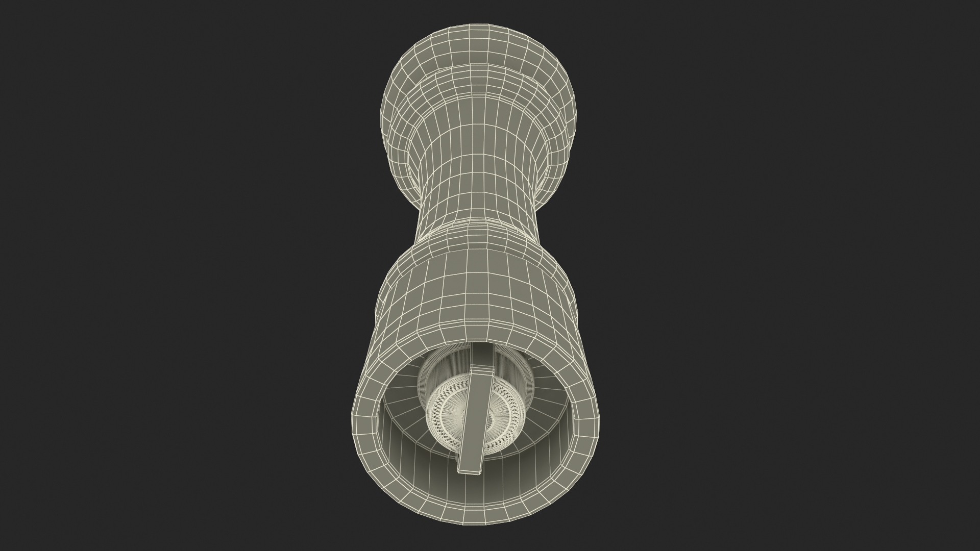 Wooden Salt and Pepper Mill 3D