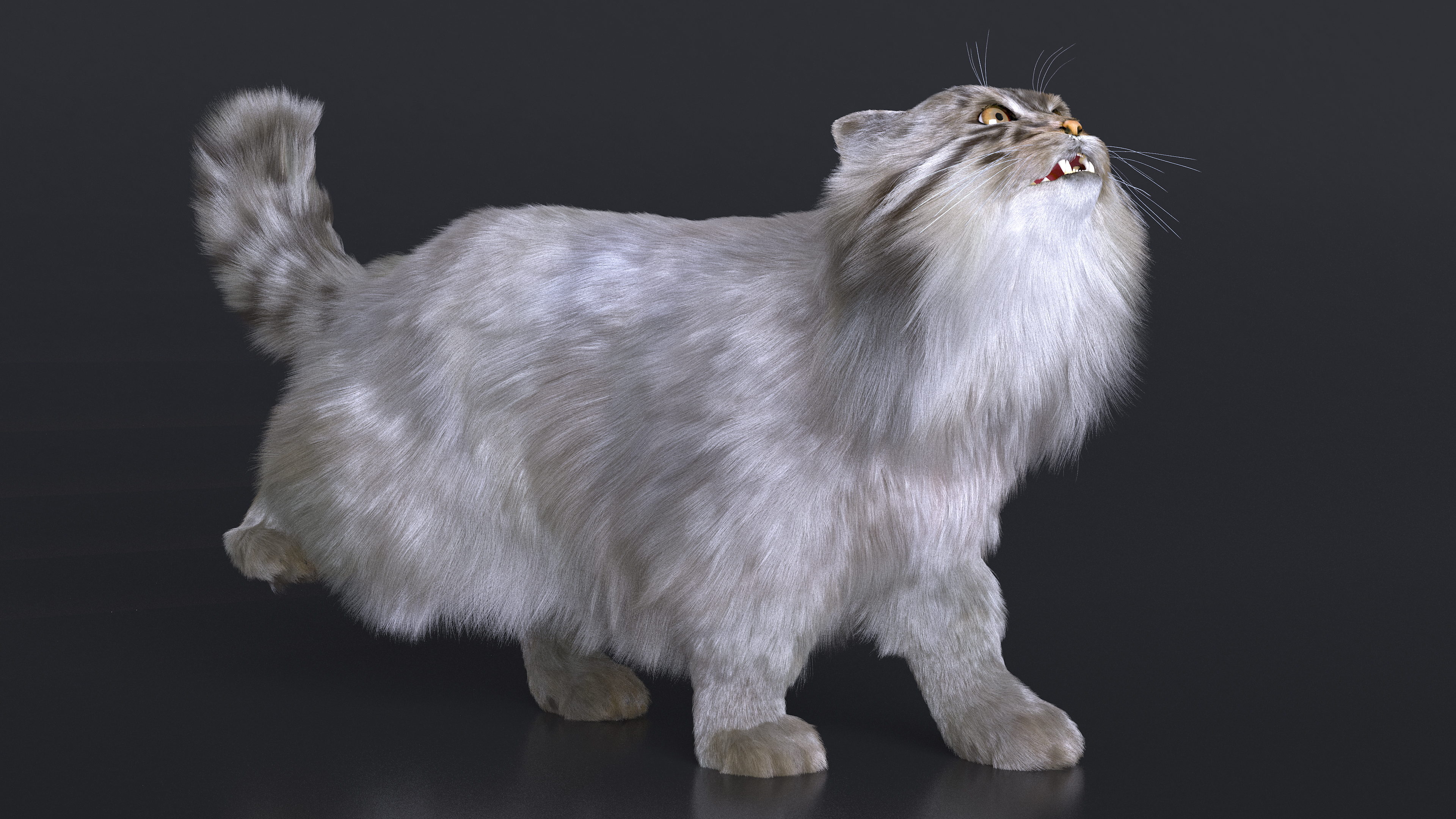 3D Pallas Cat Fur Rigged