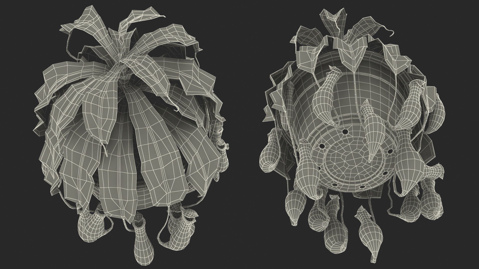 Tropical Pitcher Plant in Pot 3D model