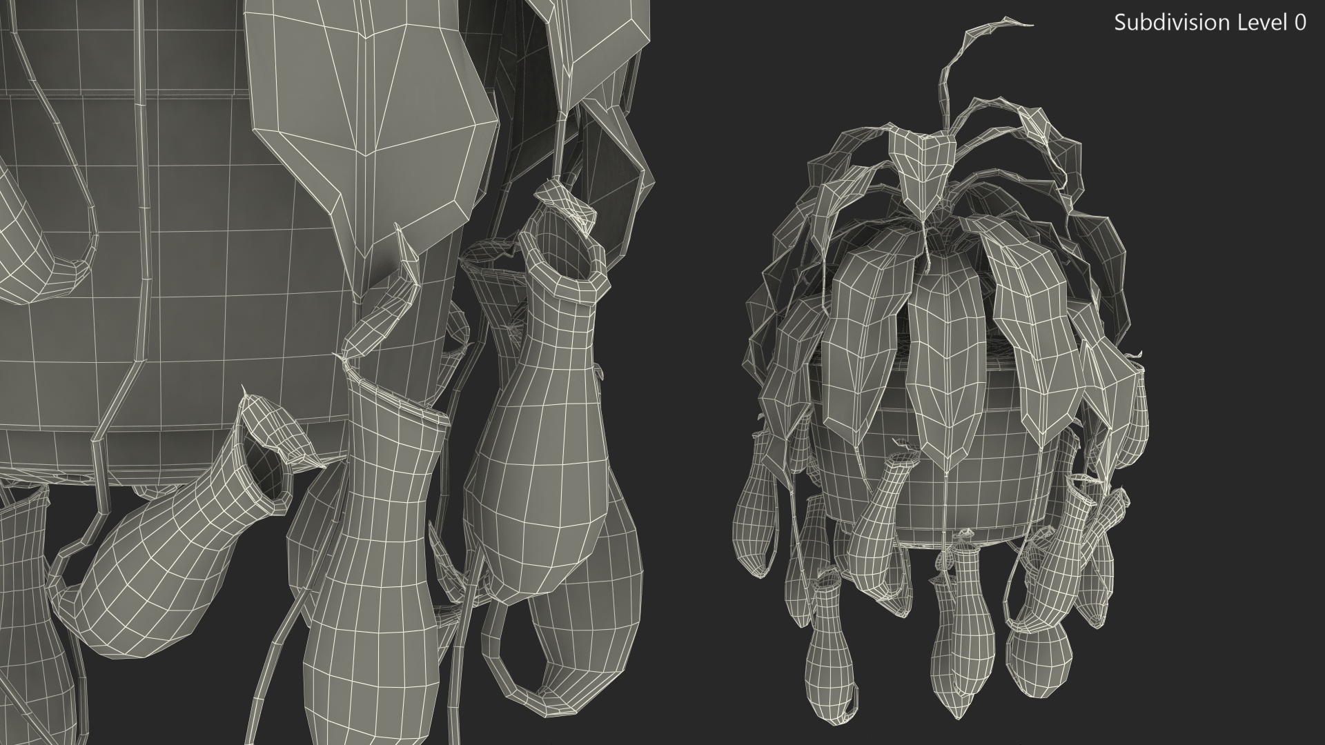 Tropical Pitcher Plant in Pot 3D model