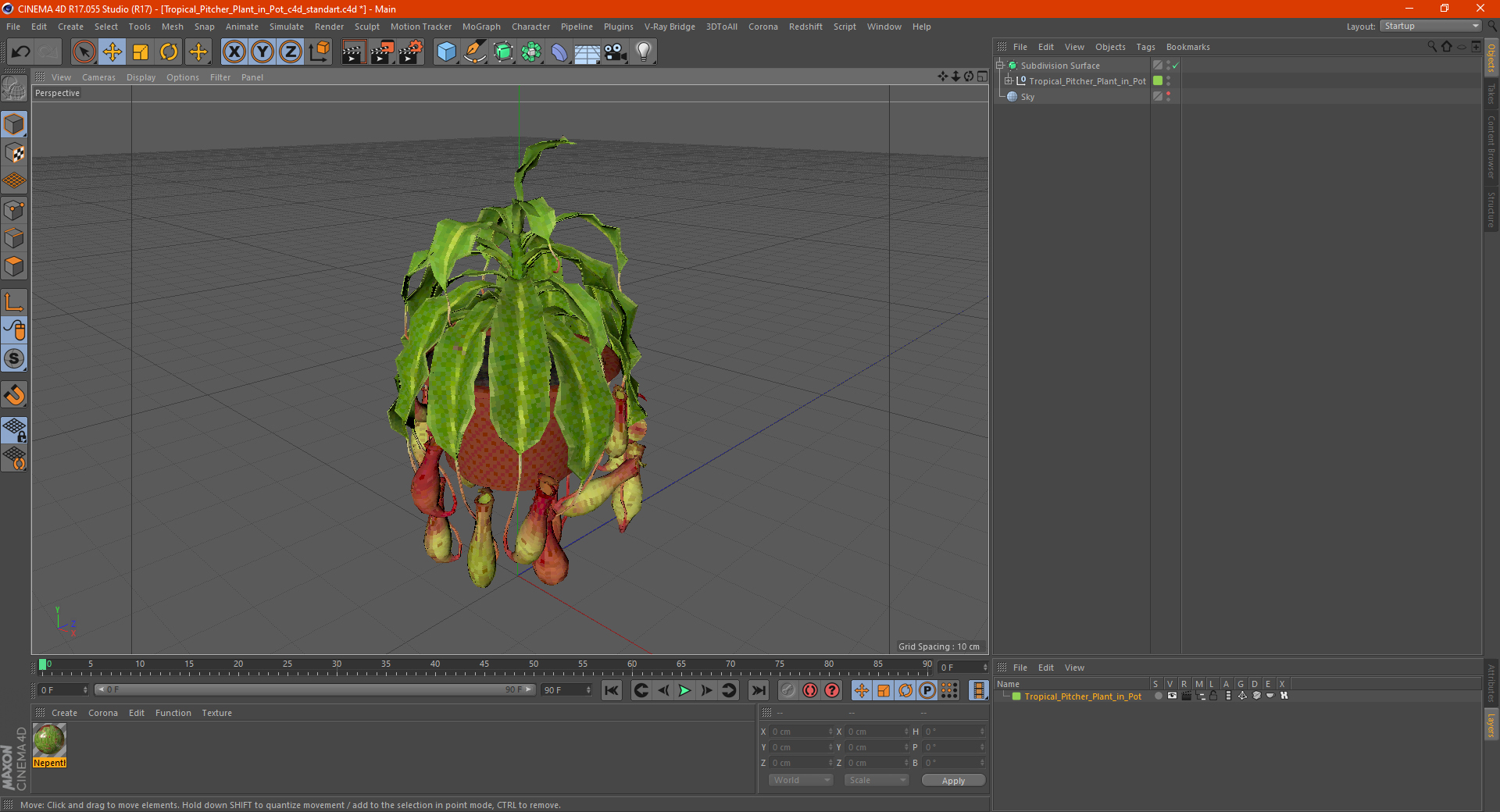Tropical Pitcher Plant in Pot 3D model