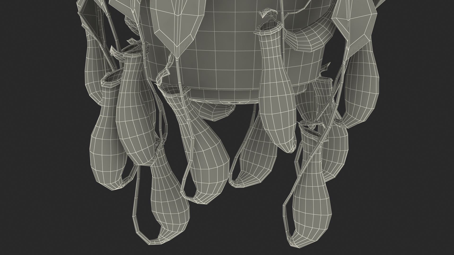 Tropical Pitcher Plant in Pot 3D model