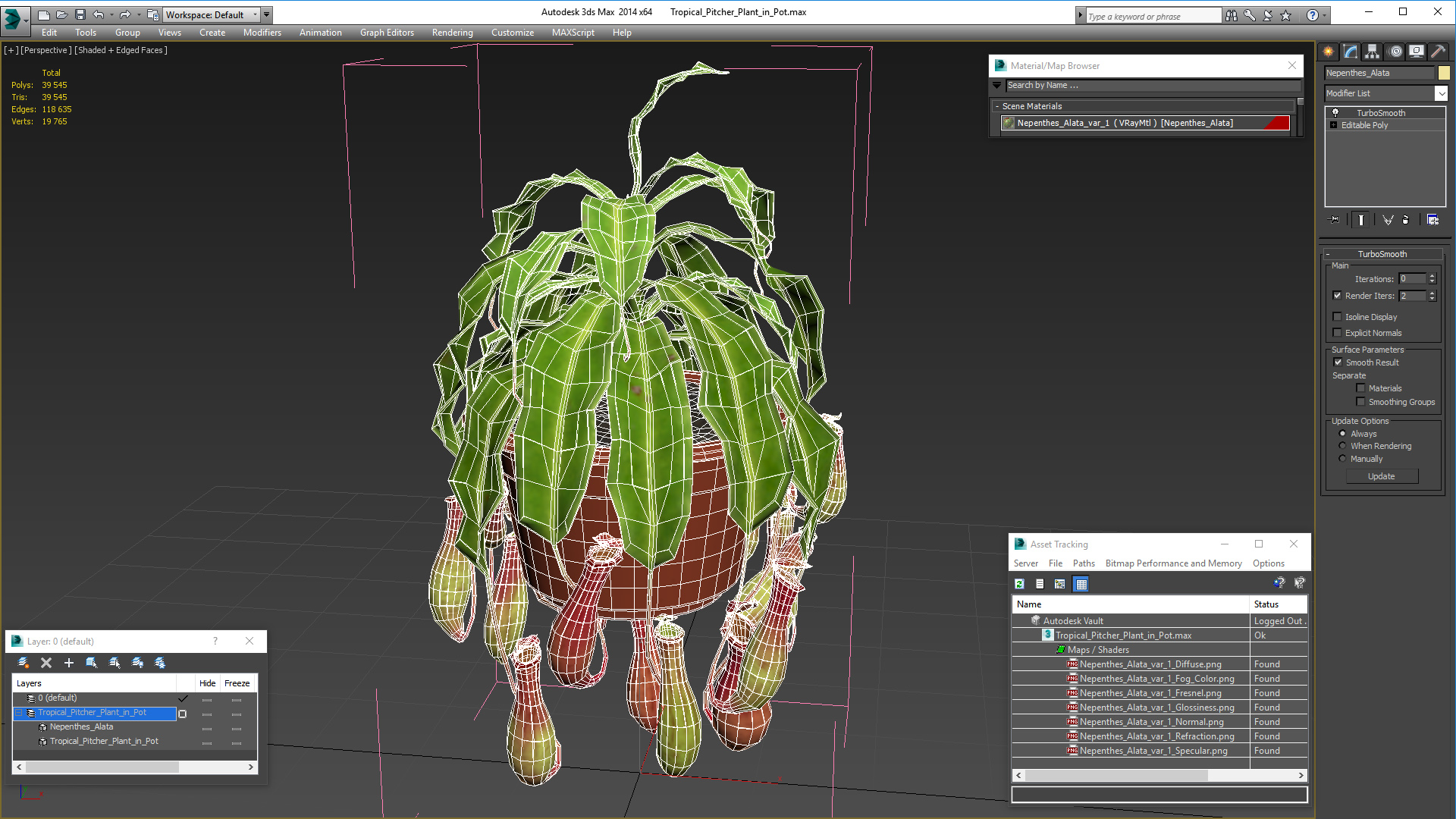 Tropical Pitcher Plant in Pot 3D model