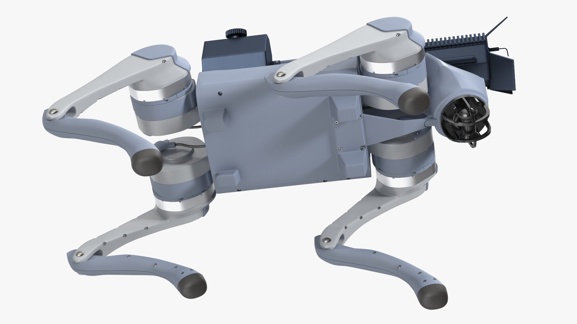 Thermonator Robot Dog in Walking Pose 3D