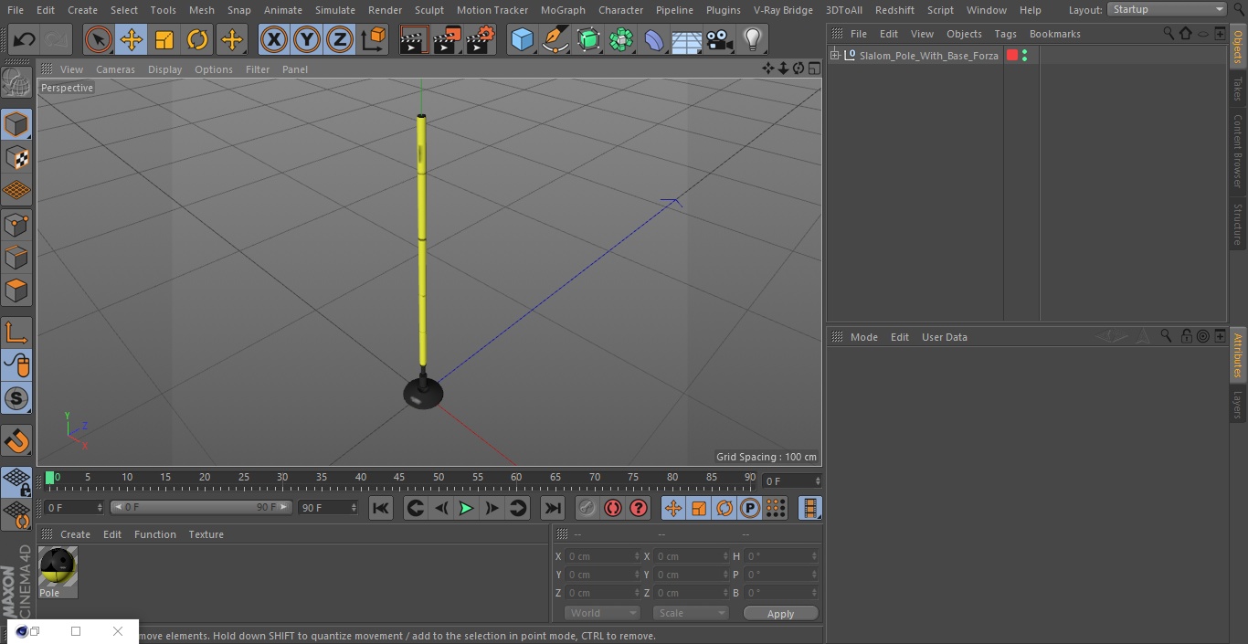 Slalom Pole With Base Forza 3D