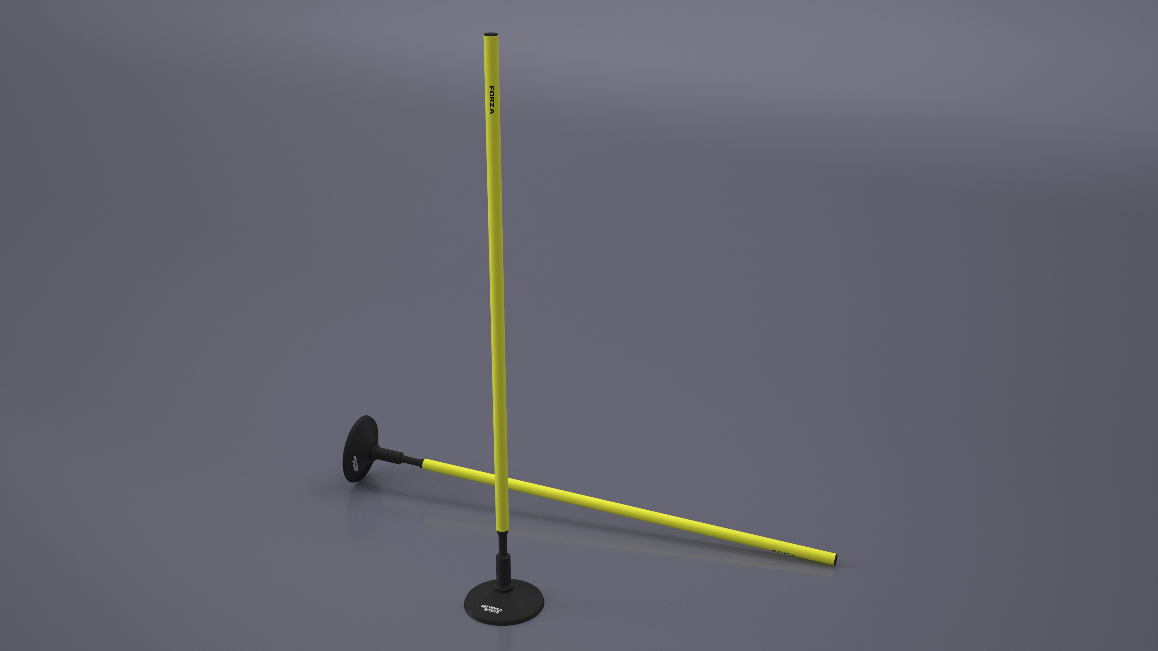 Slalom Pole With Base Forza 3D