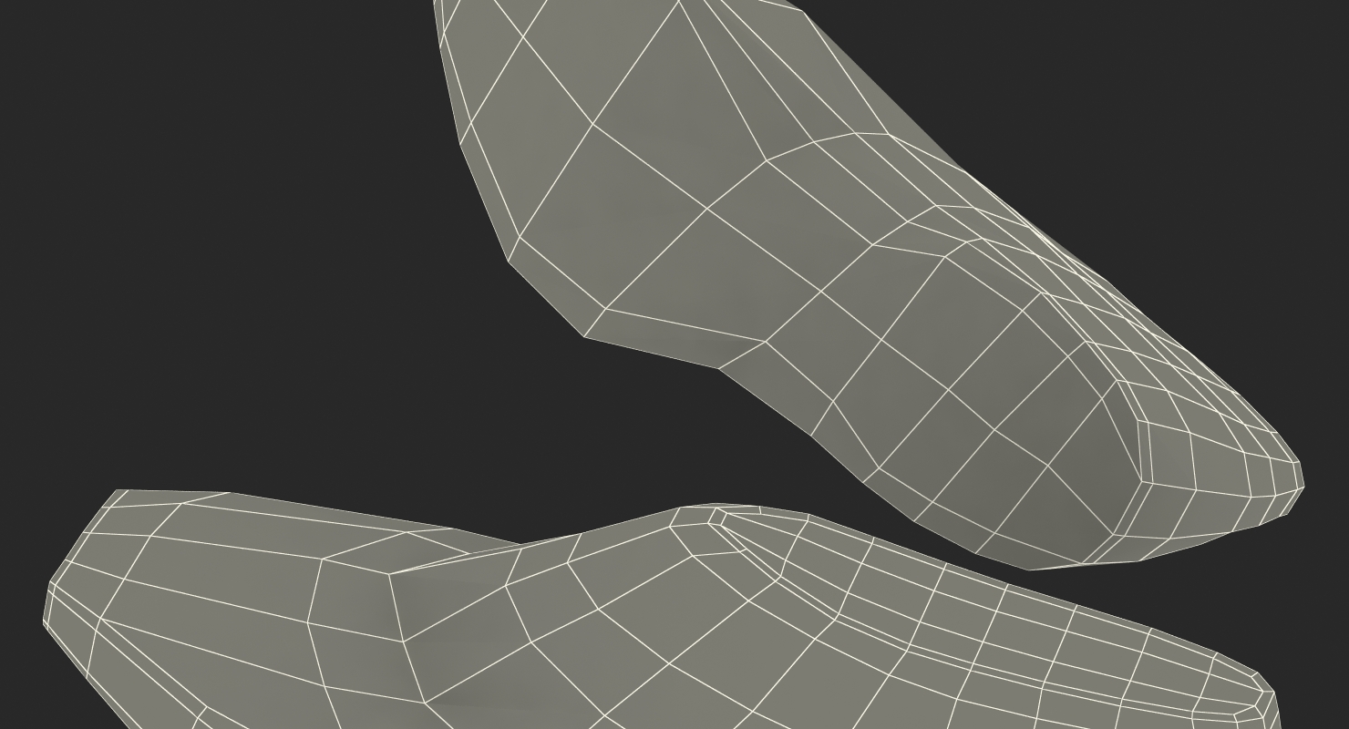 Antique Wooden Shoe Last 3D model