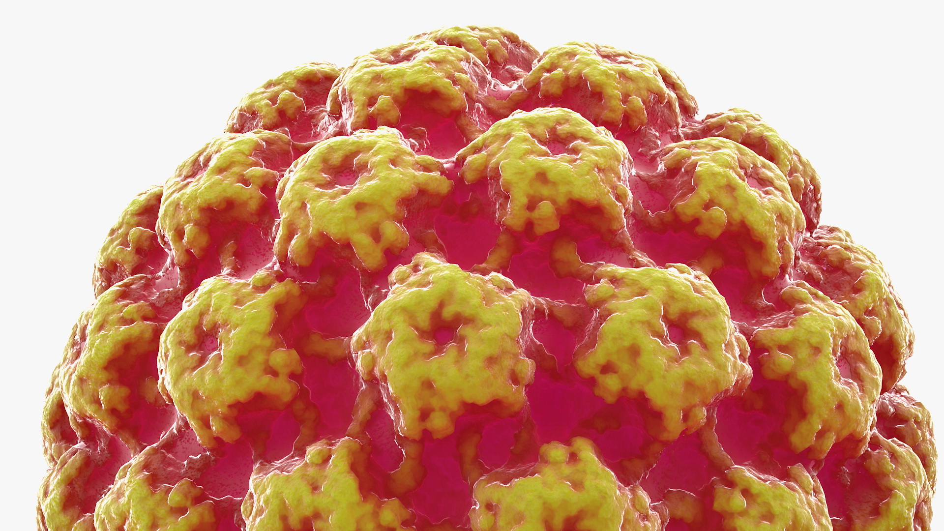 Virus Bacteria 3D model