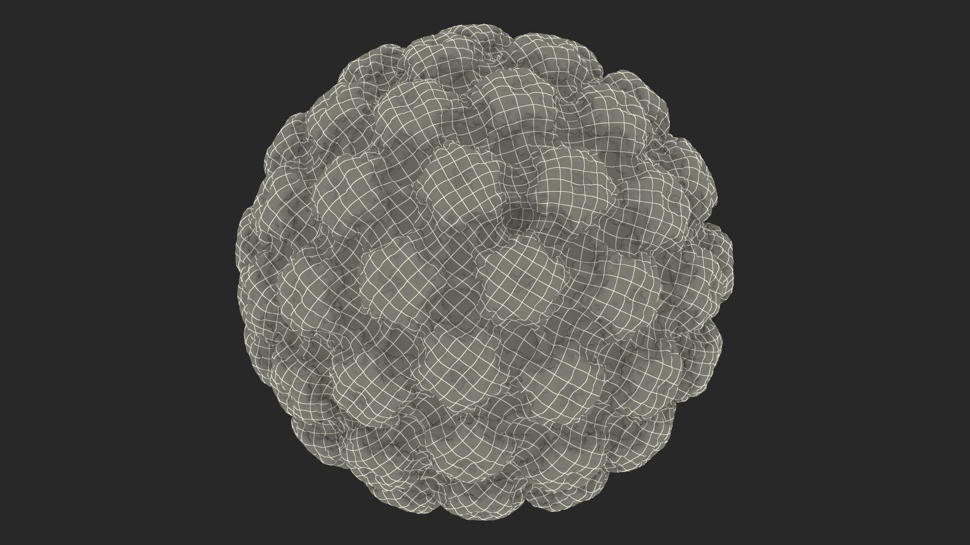 Virus Bacteria 3D model
