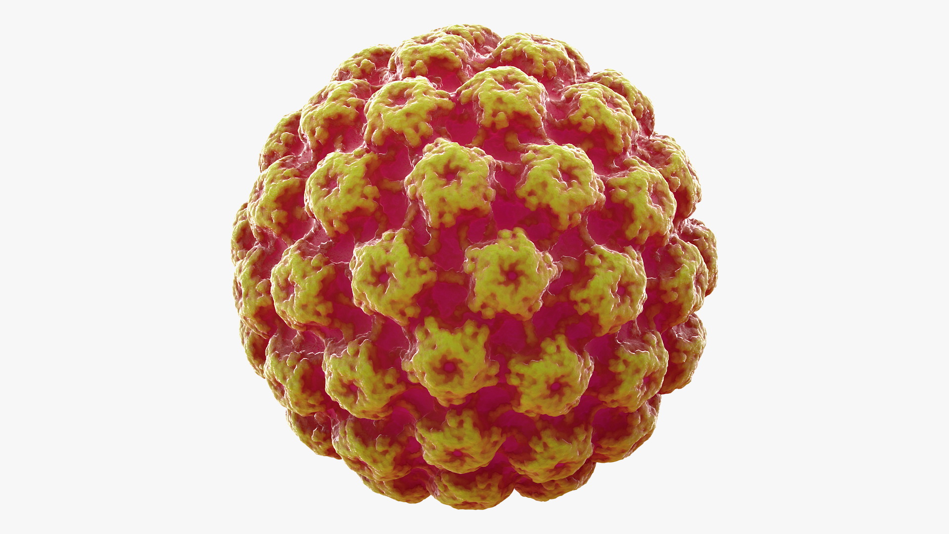 Virus Bacteria 3D model
