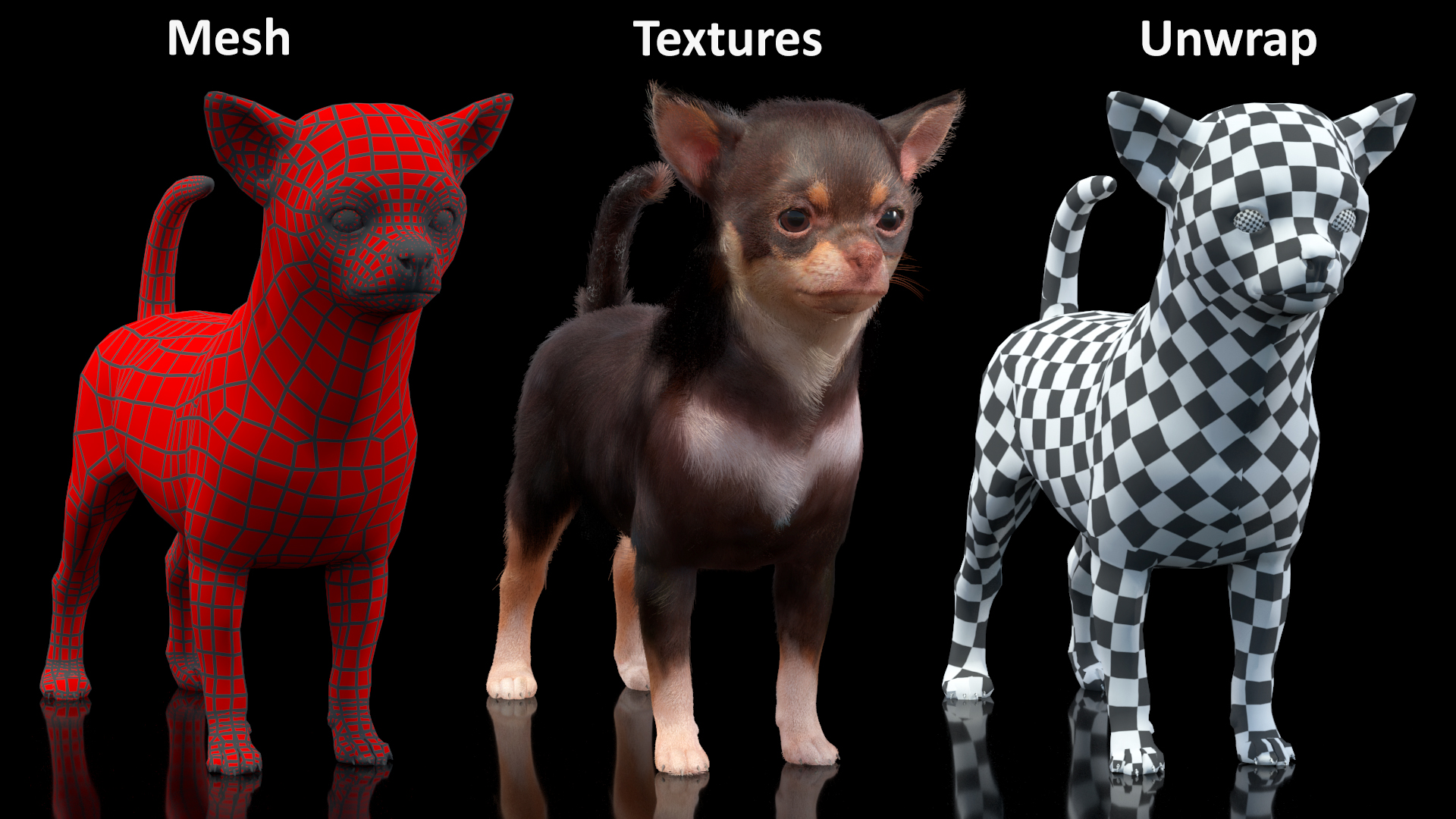 Chihuahua Dog with Fur 3D