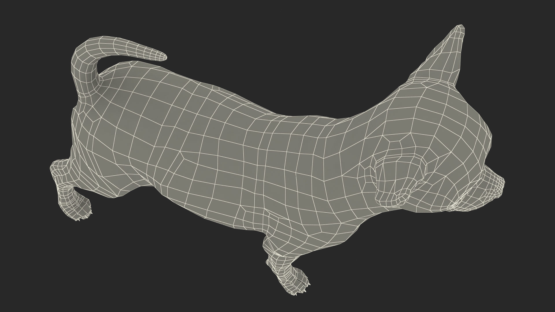 Chihuahua Dog with Fur 3D