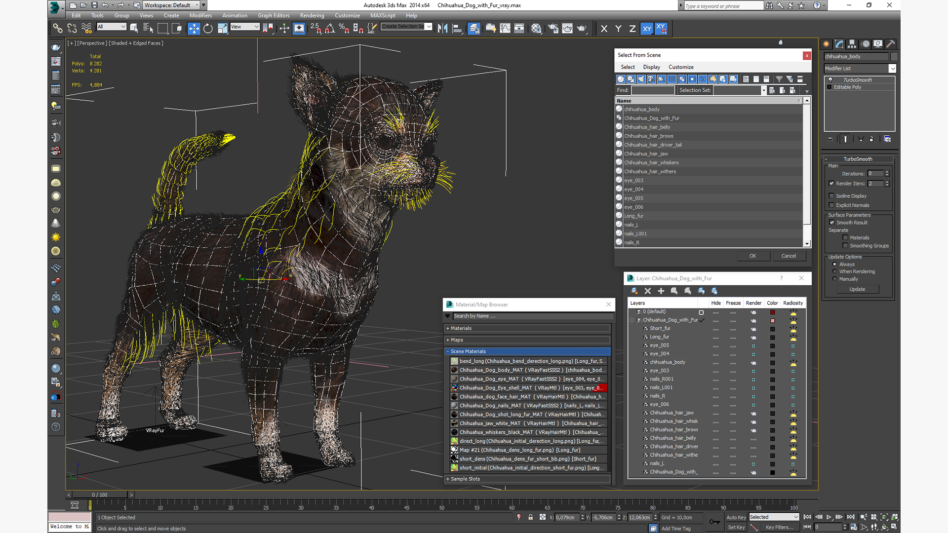 Chihuahua Dog with Fur 3D