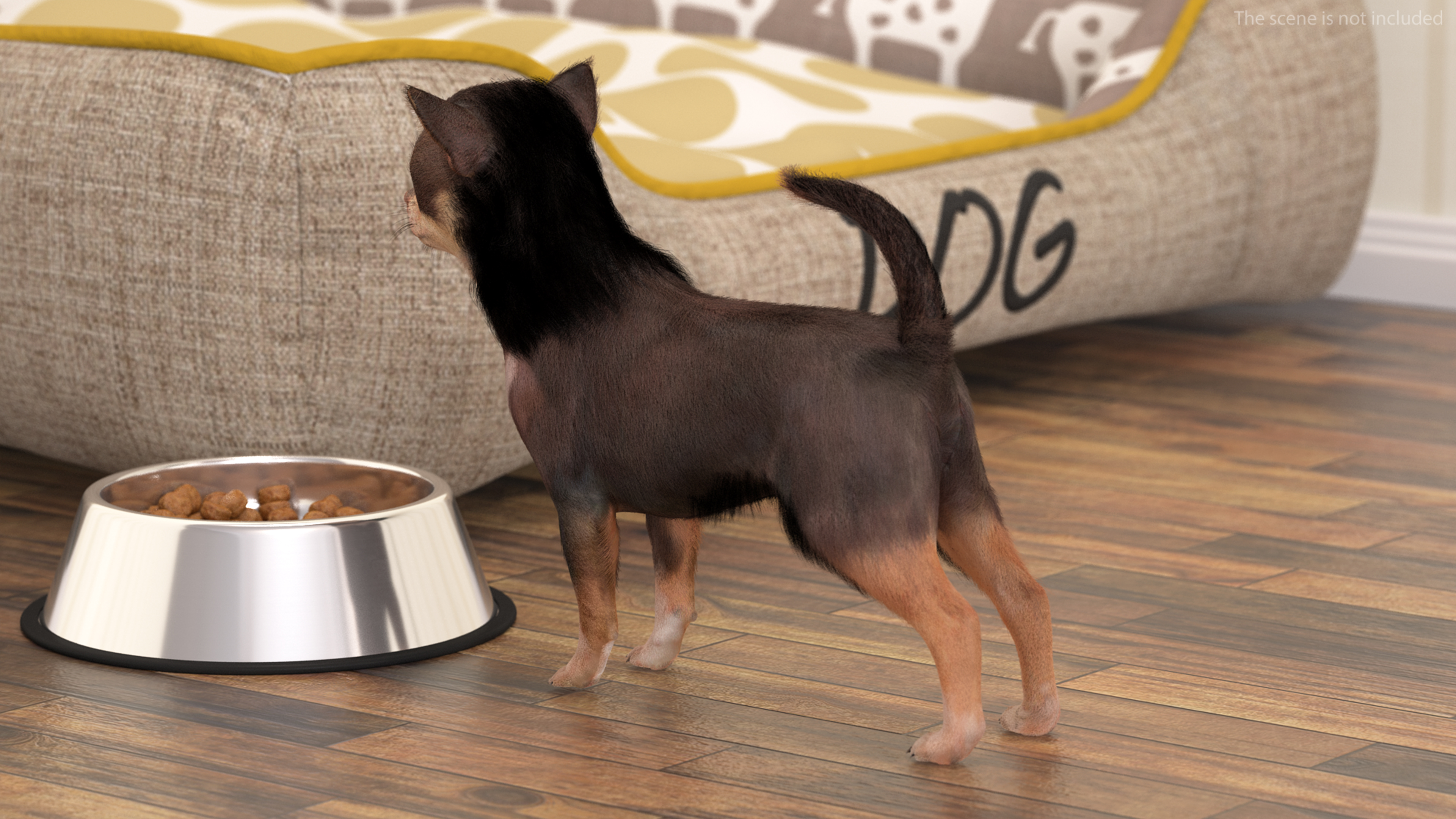 Chihuahua Dog with Fur 3D