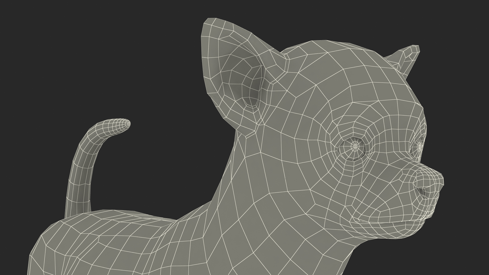 Chihuahua Dog with Fur 3D
