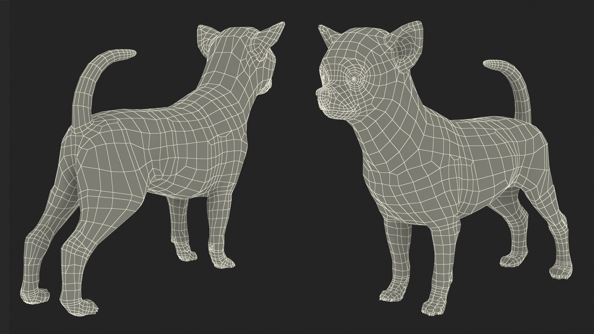 Chihuahua Dog with Fur 3D