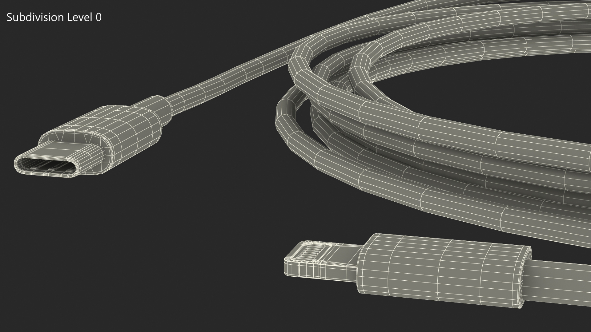 USB Type-C to Lightning Cable 3D model