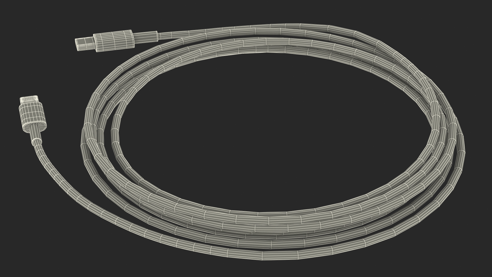 USB Type-C to Lightning Cable 3D model