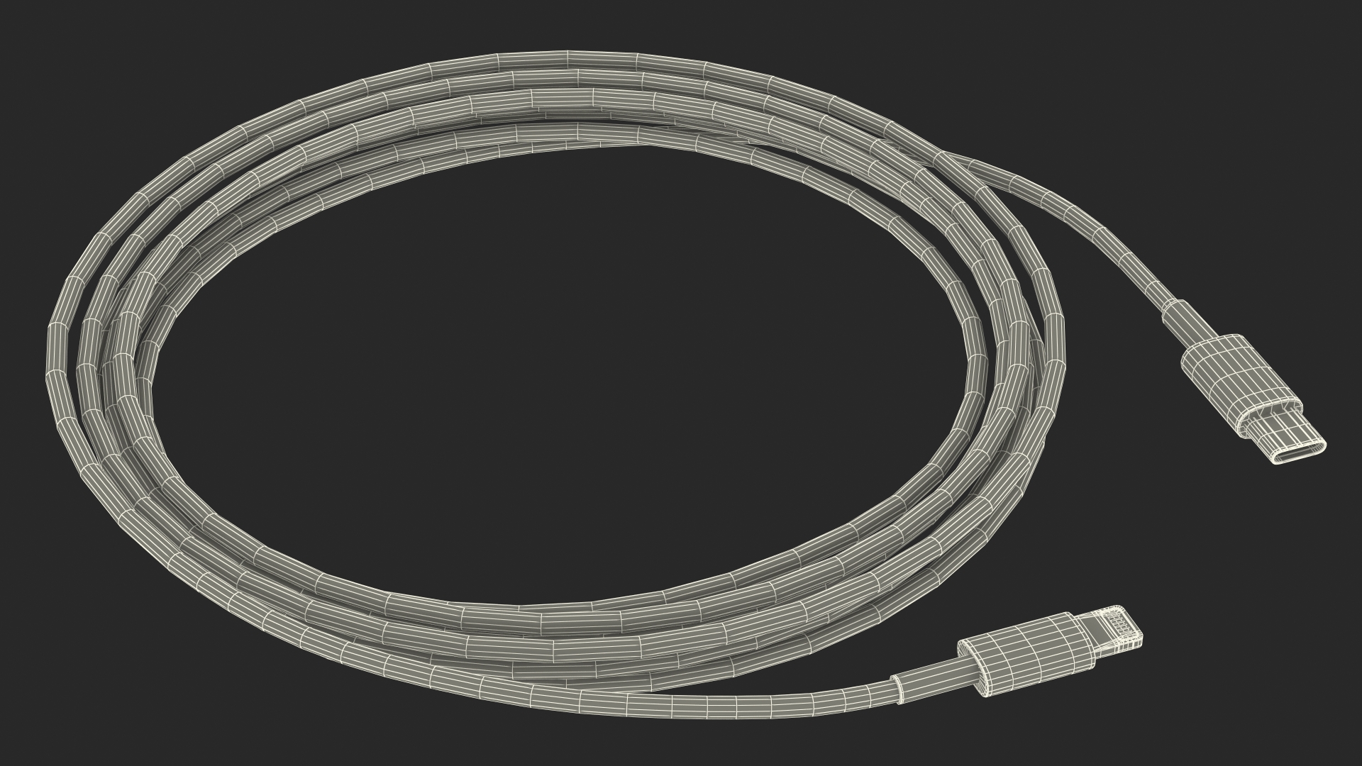 USB Type-C to Lightning Cable 3D model