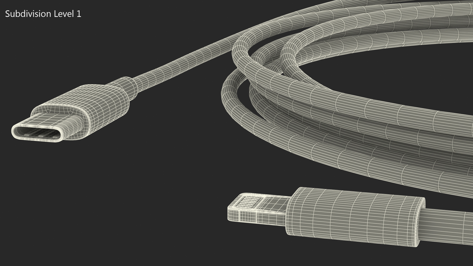 USB Type-C to Lightning Cable 3D model