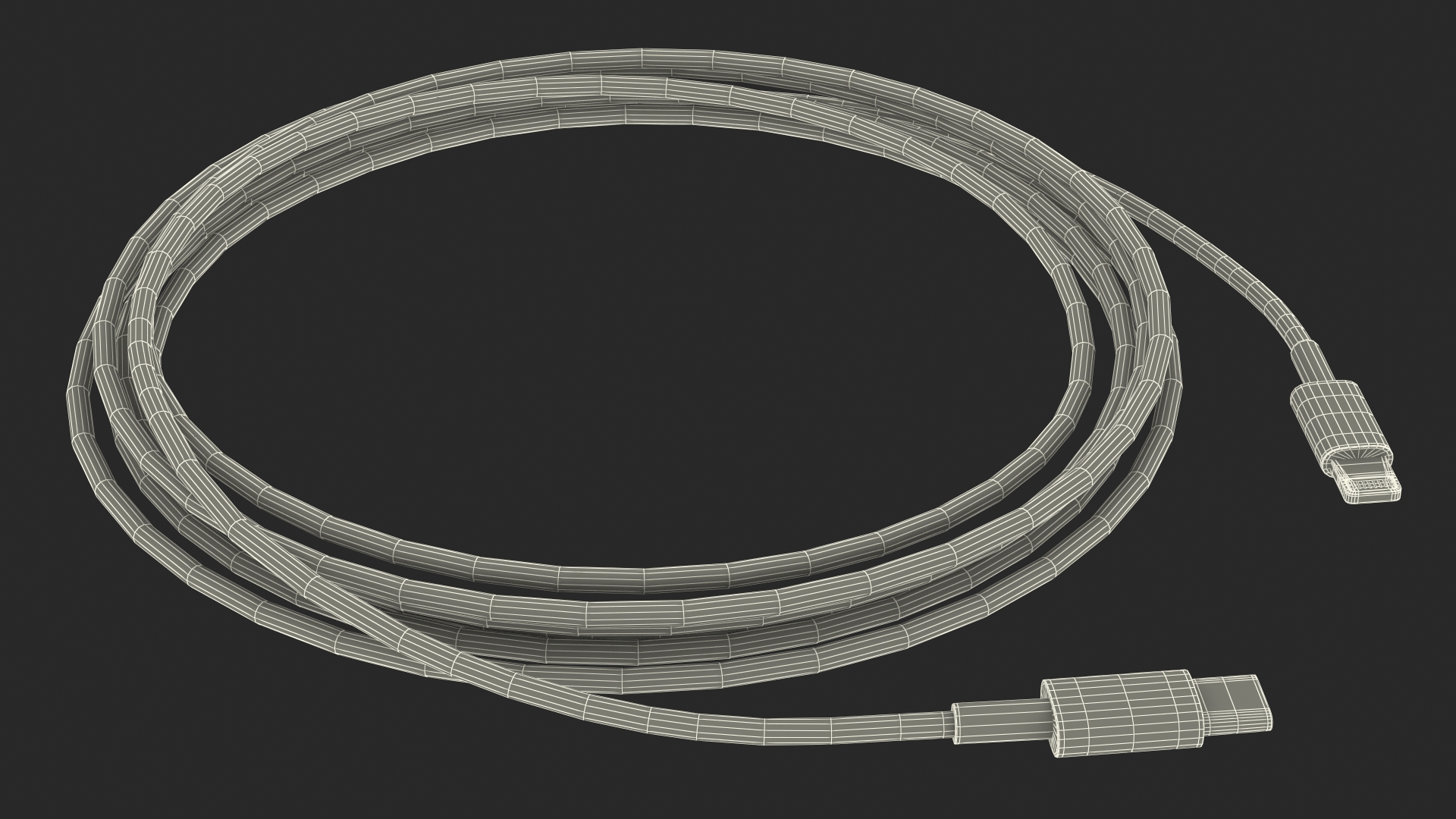USB Type-C to Lightning Cable 3D model