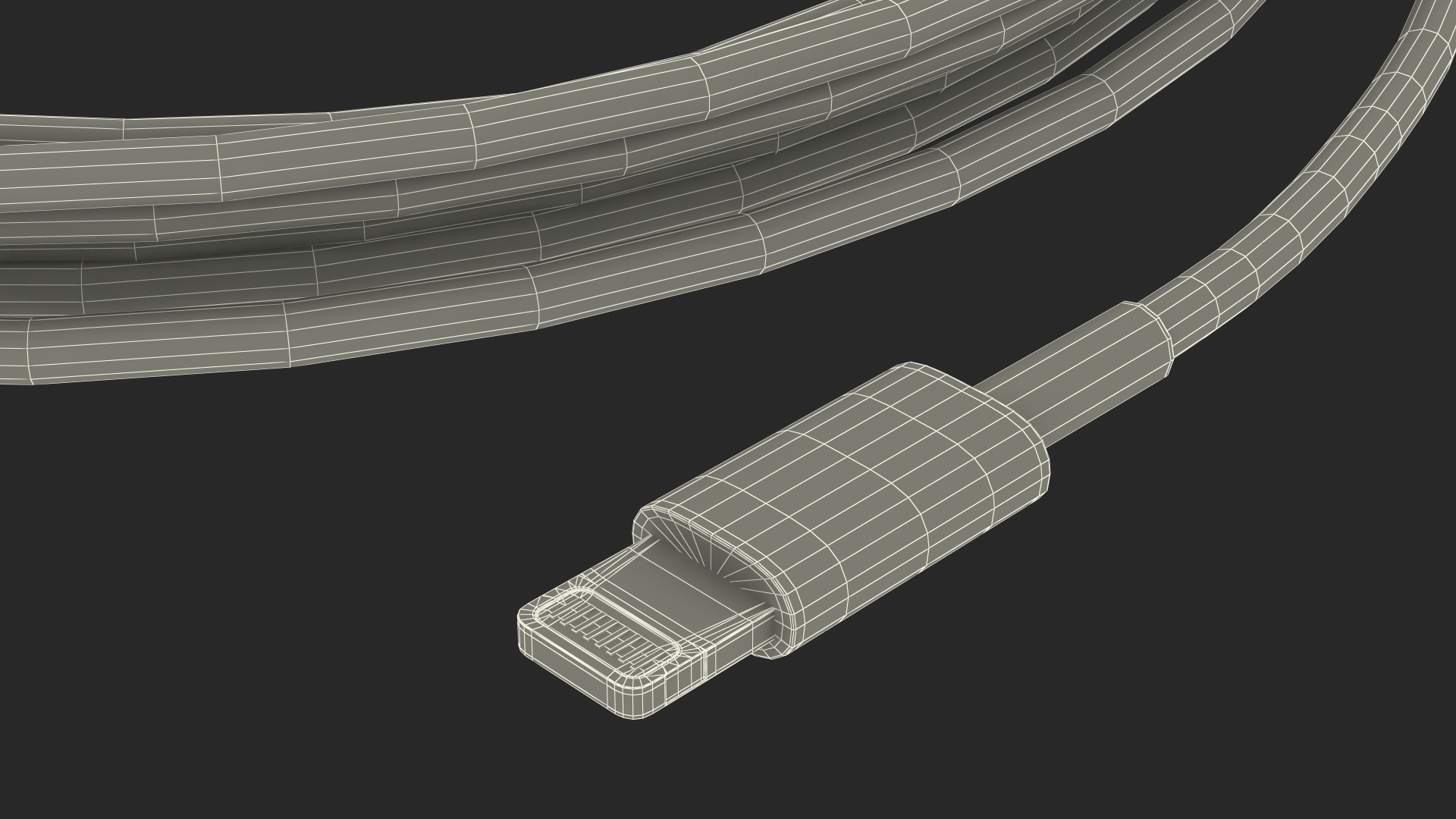 USB Type-C to Lightning Cable 3D model