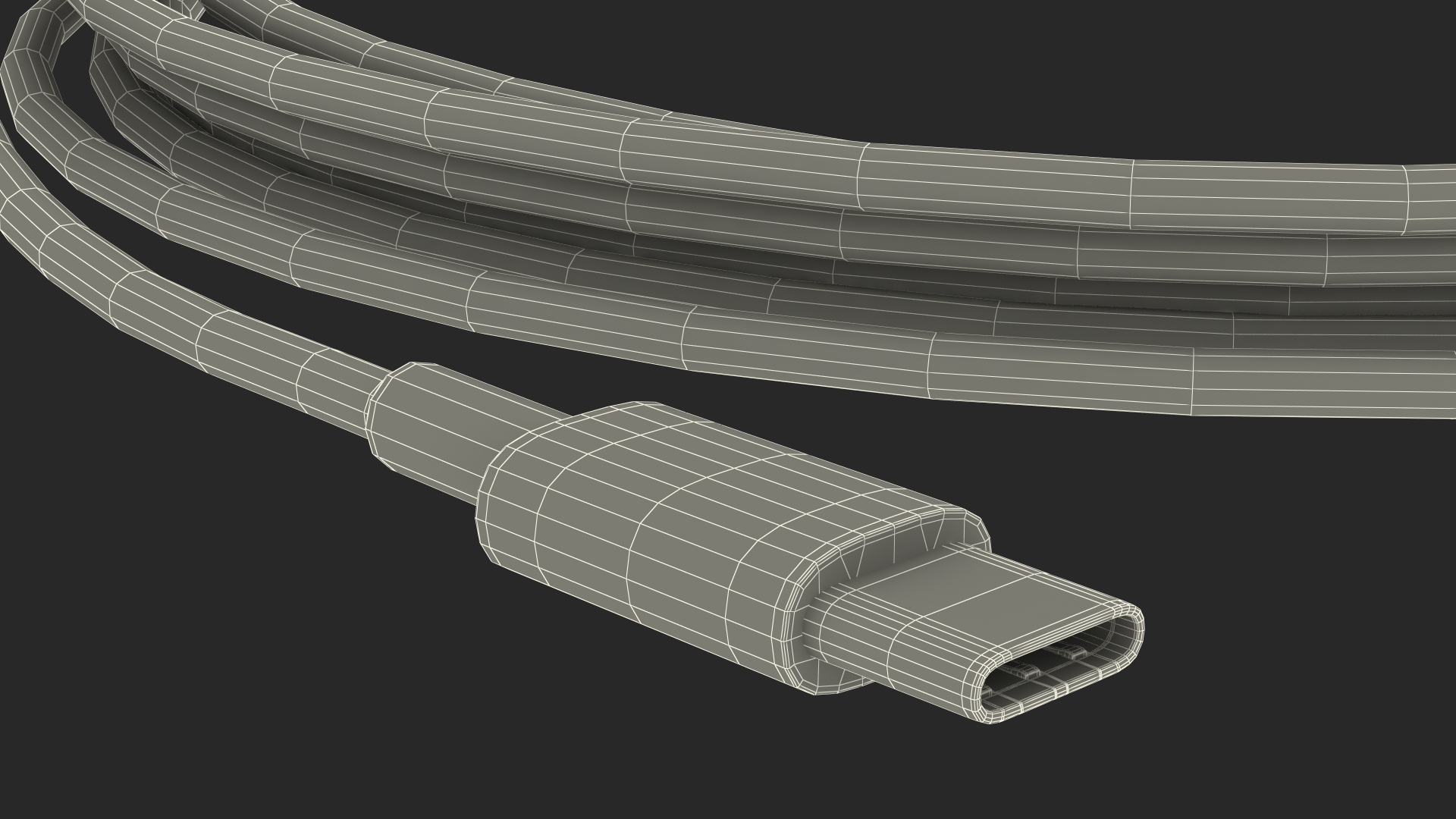 USB Type-C to Lightning Cable 3D model