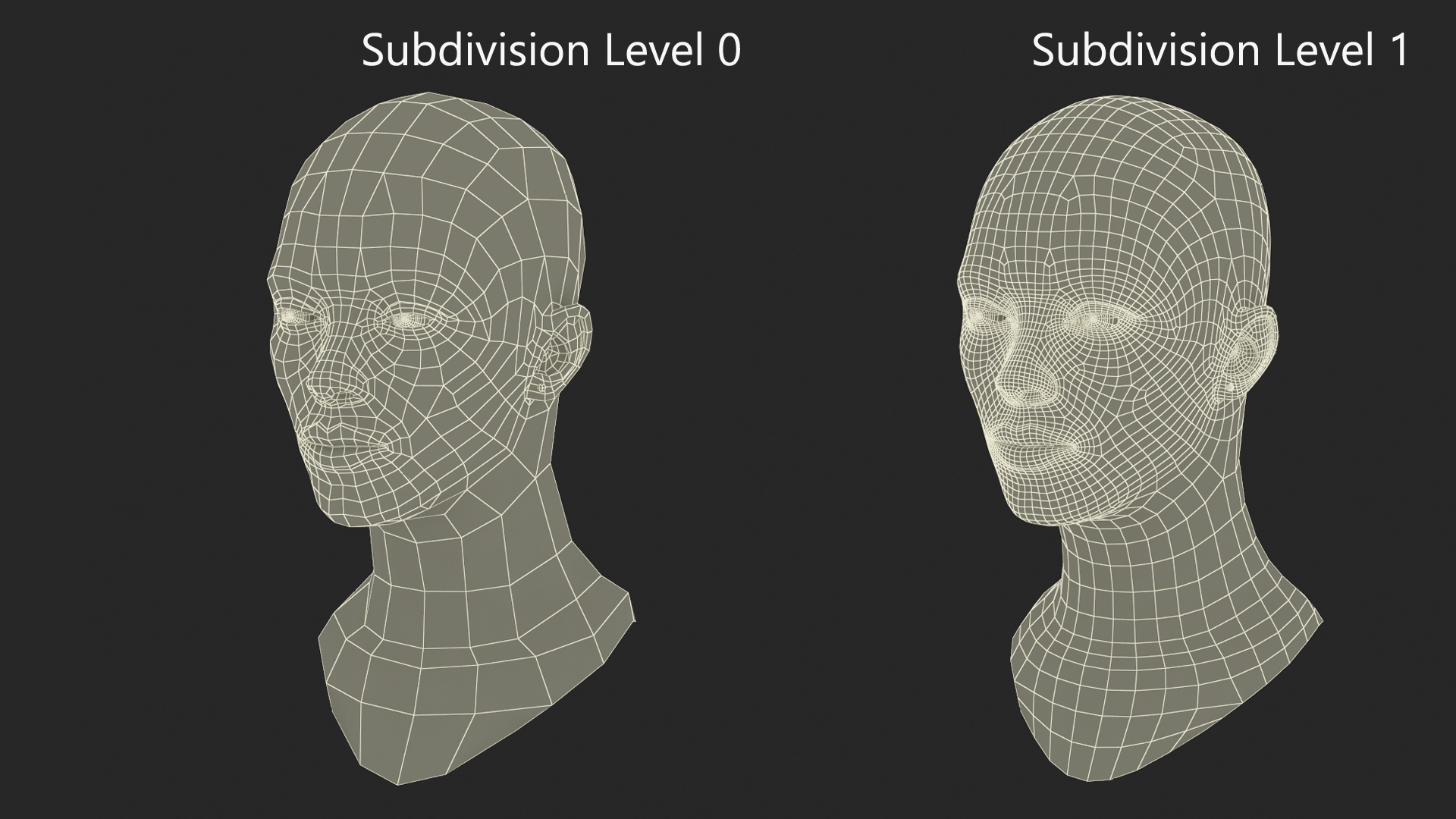 3D model Black Woman Head Fur