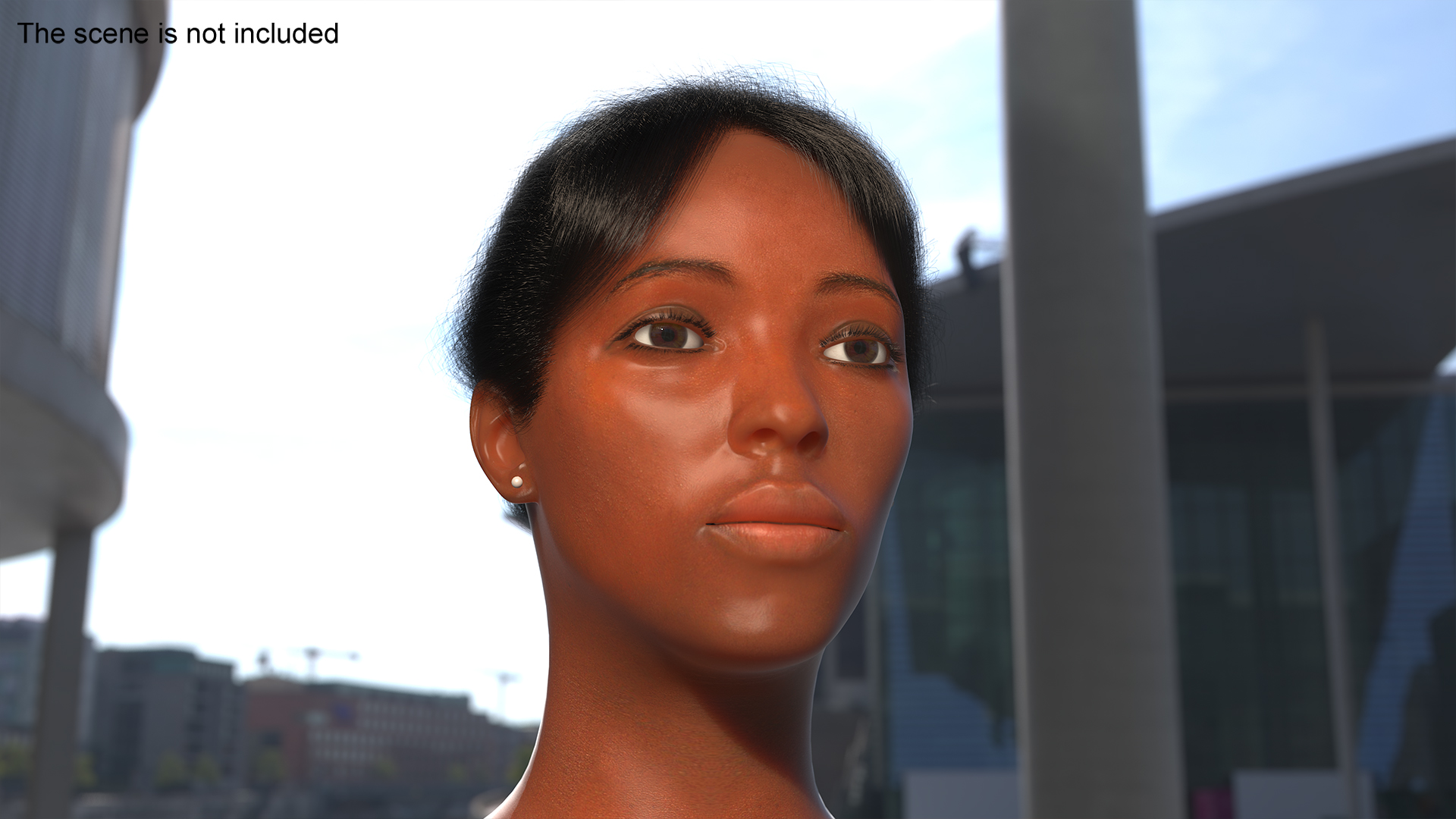 3D model Black Woman Head Fur