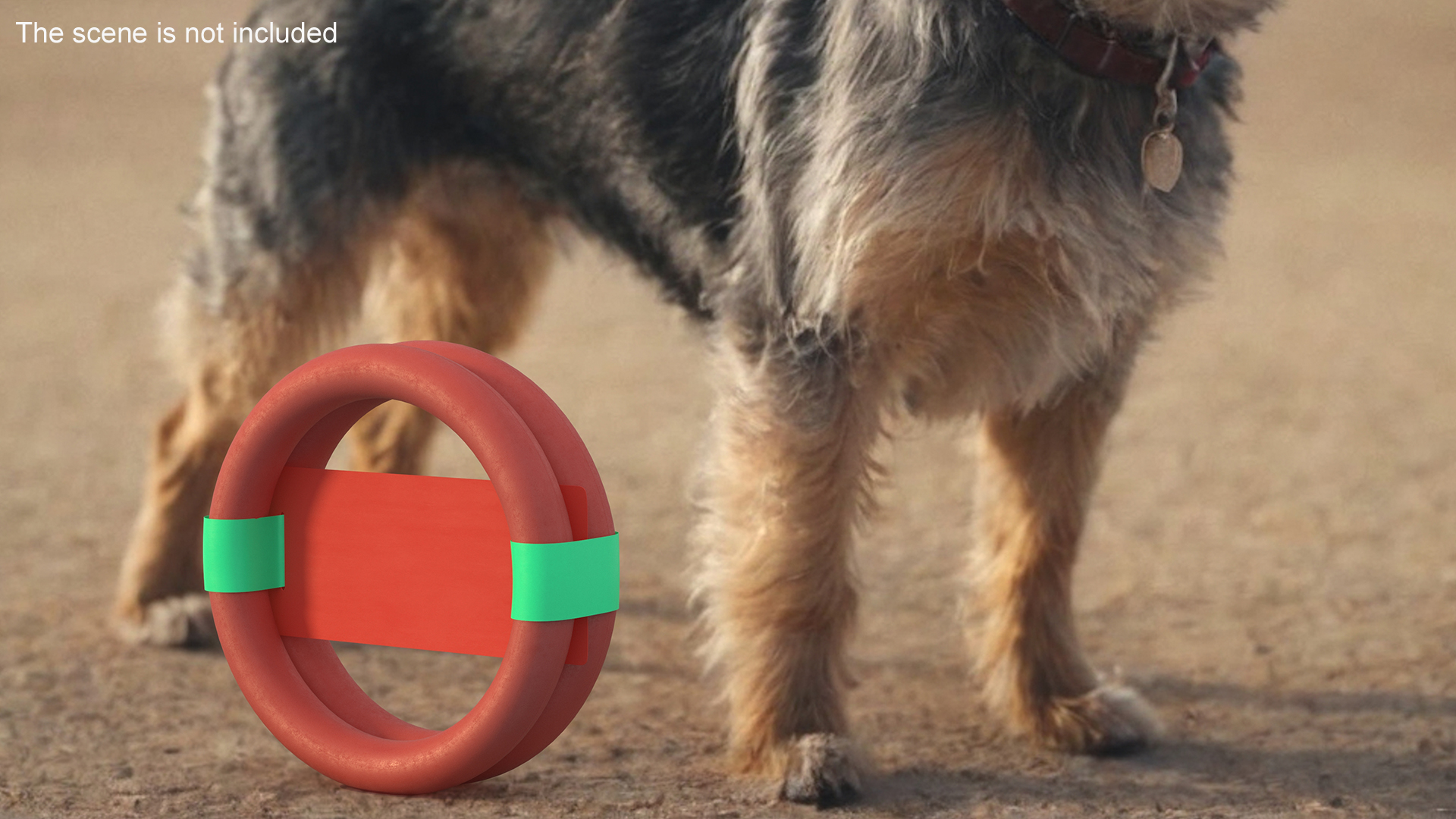 3D model Ring Dog Toy Package