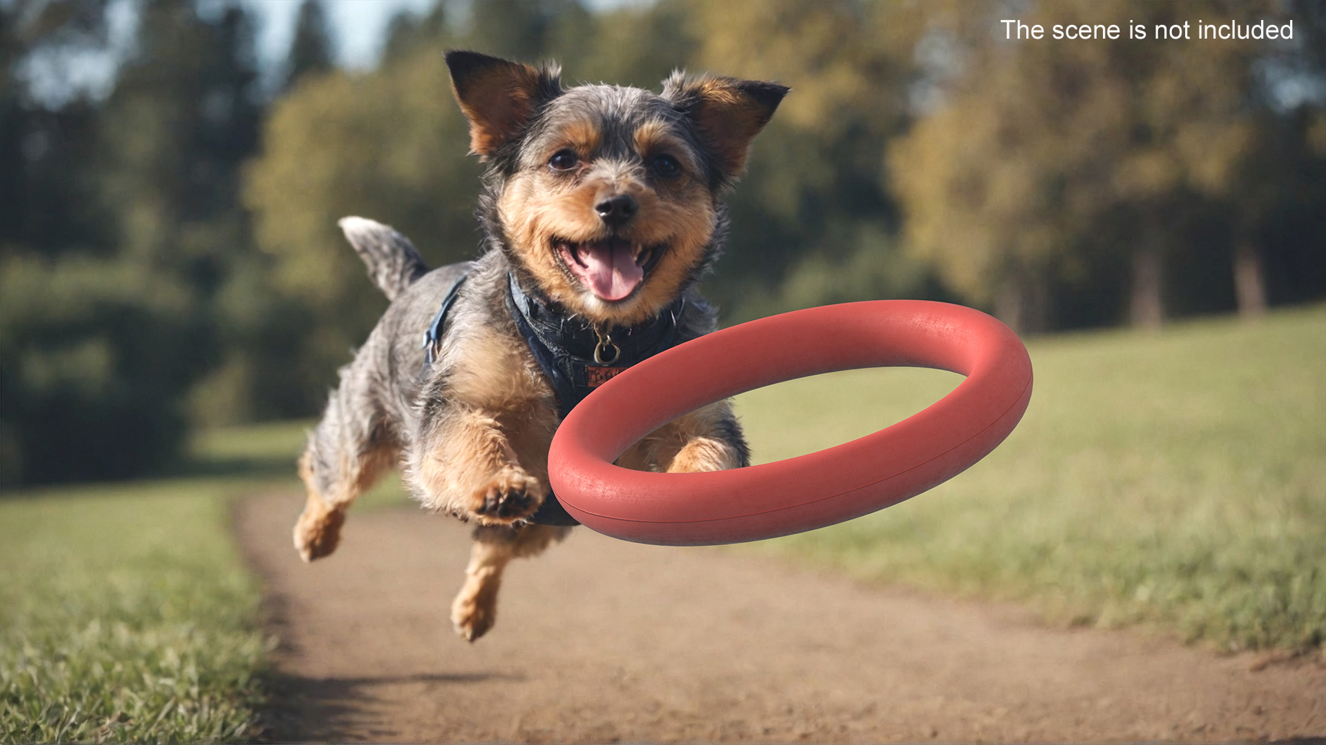 3D model Ring Dog Toy Package