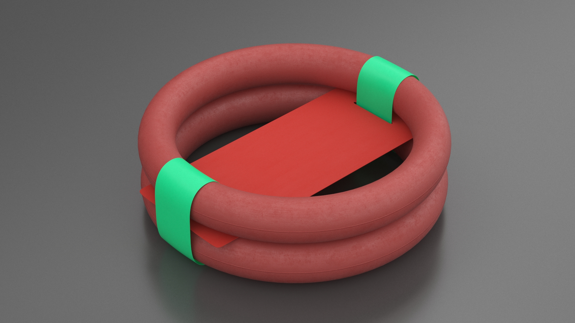 3D model Ring Dog Toy Package