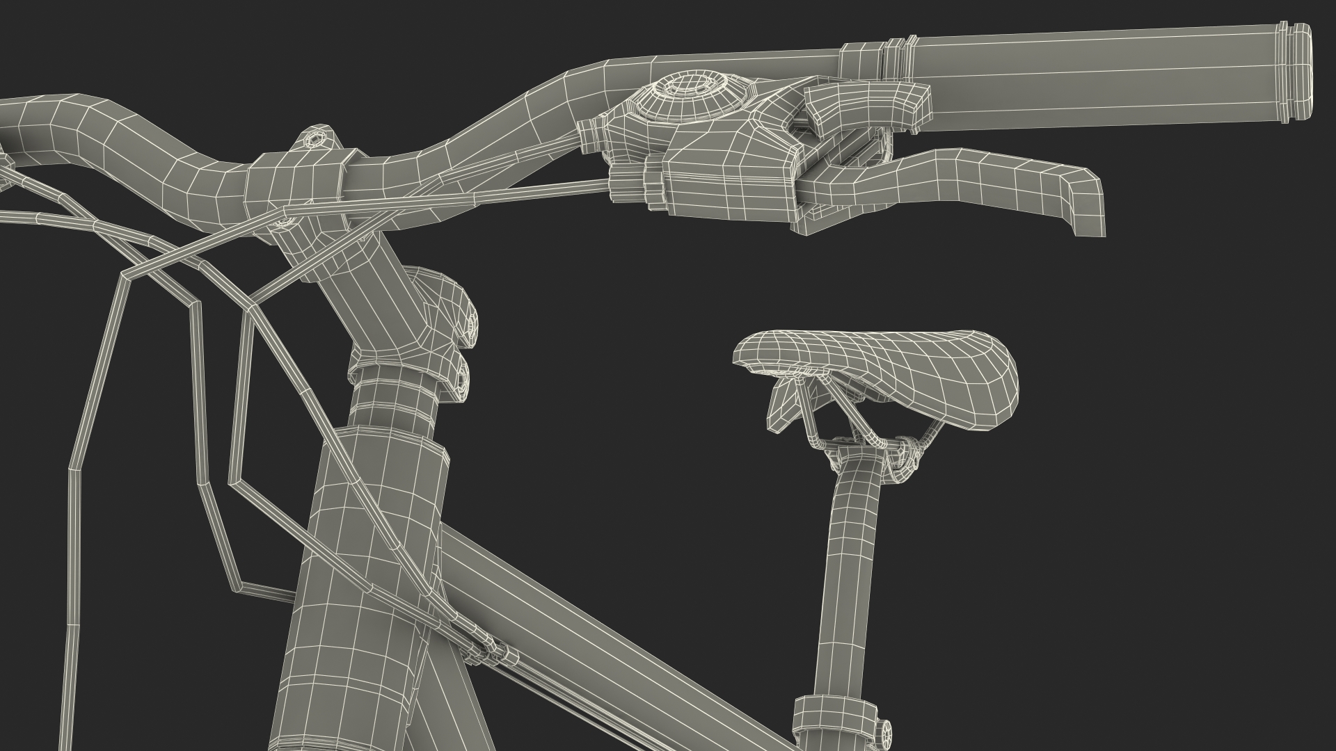 3D model Hitch Bike Racks with Mountain Bike
