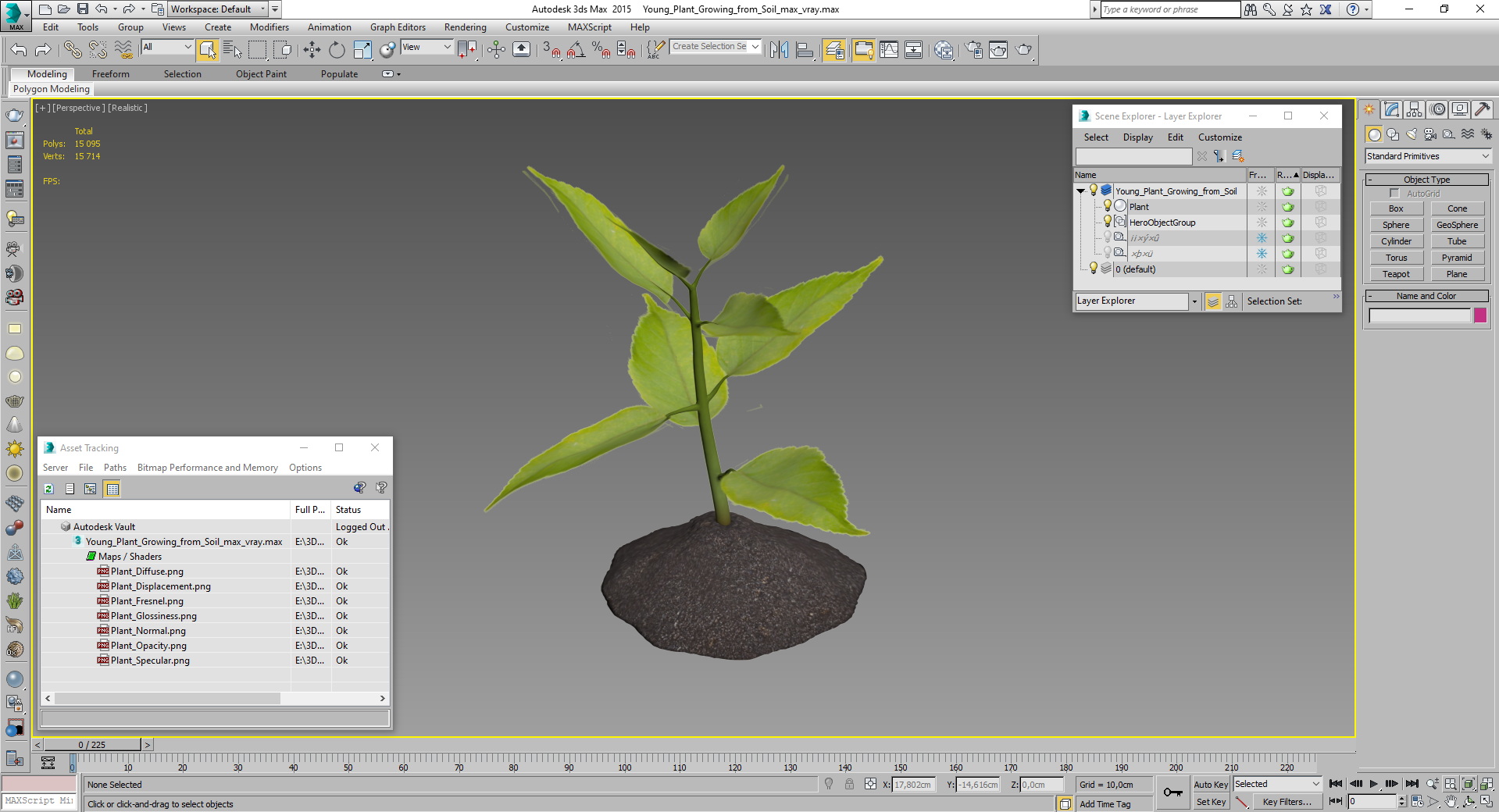Young Plant Growing from Soil 3D model