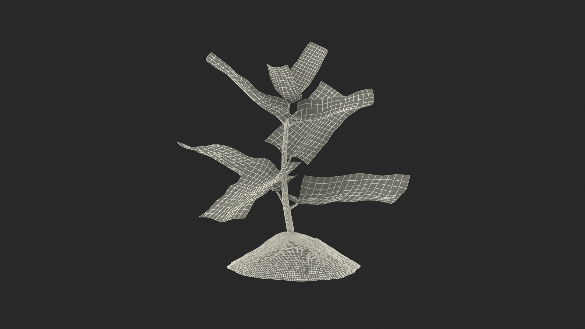 Young Plant Growing from Soil 3D model
