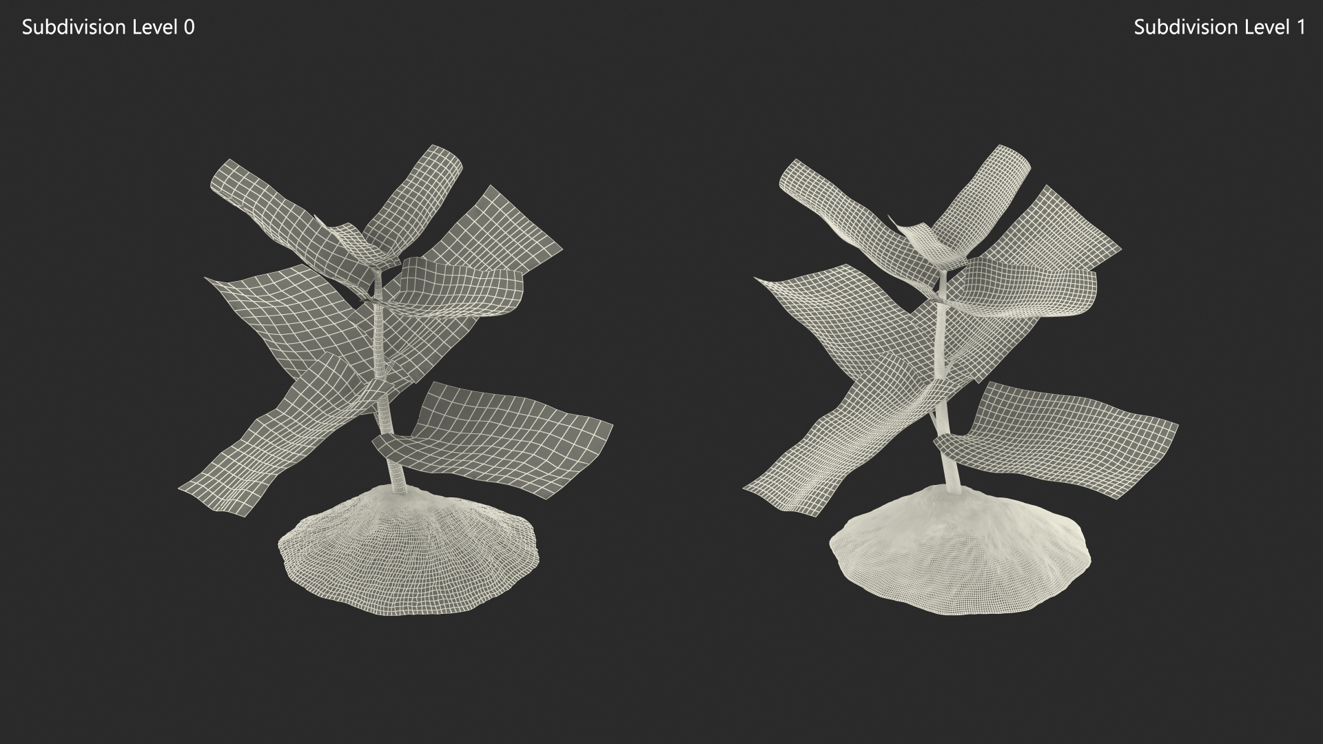 Young Plant Growing from Soil 3D model