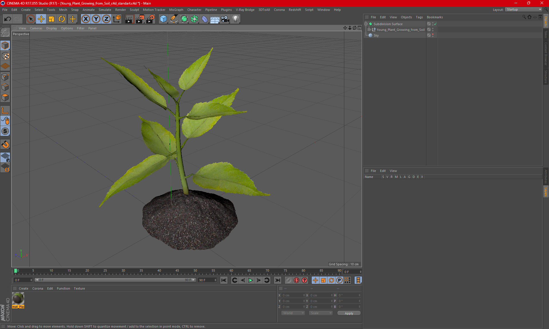 Young Plant Growing from Soil 3D model