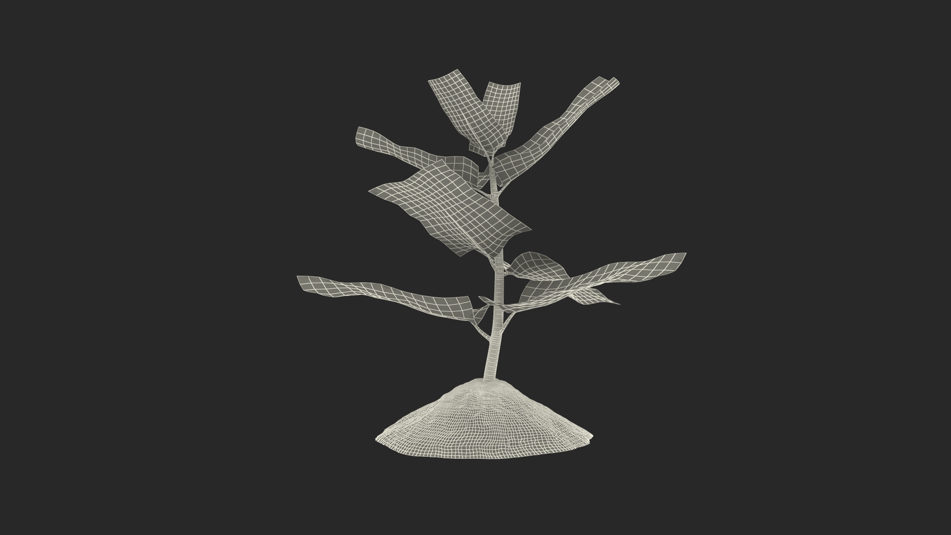 Young Plant Growing from Soil 3D model