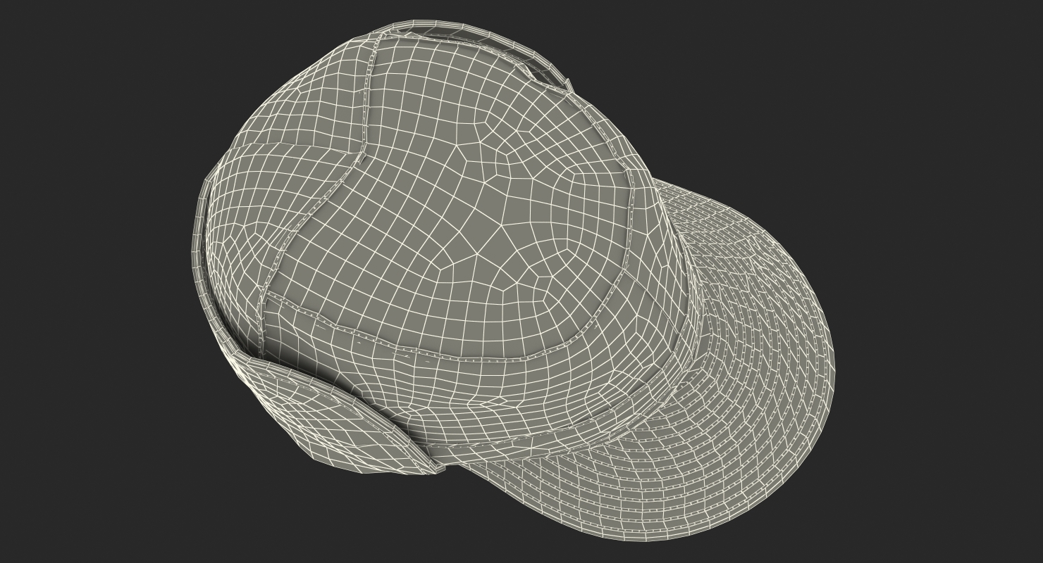 Field Hat Camo 3D model