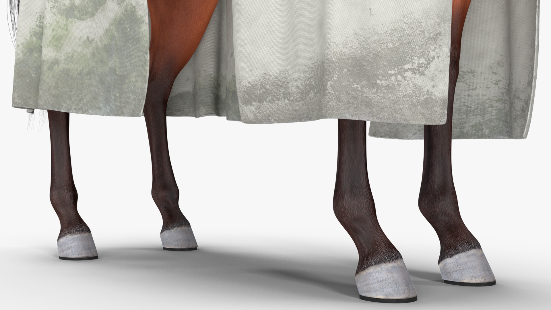 3D model Crusader Horse Armor Dirty with Rider in the Saddle Fur