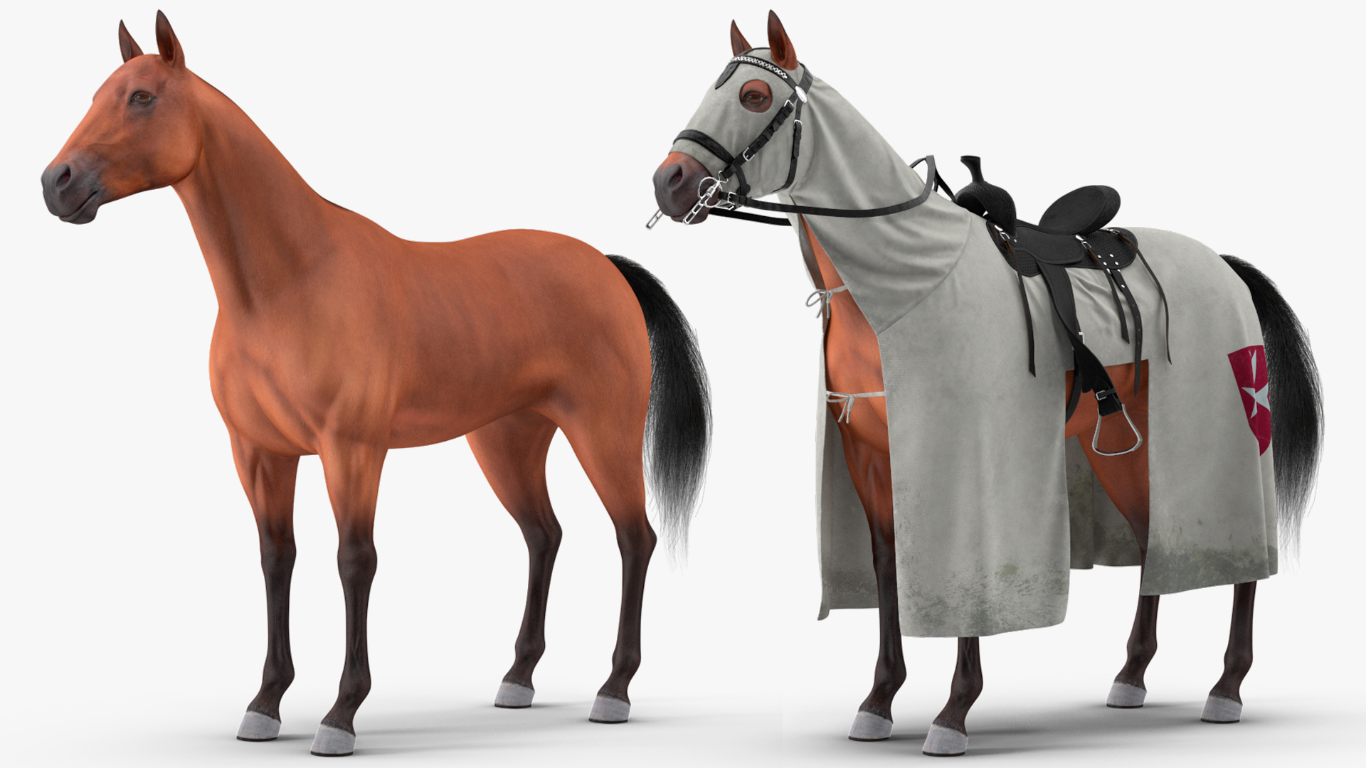 3D model Crusader Horse Armor Dirty with Rider in the Saddle Fur
