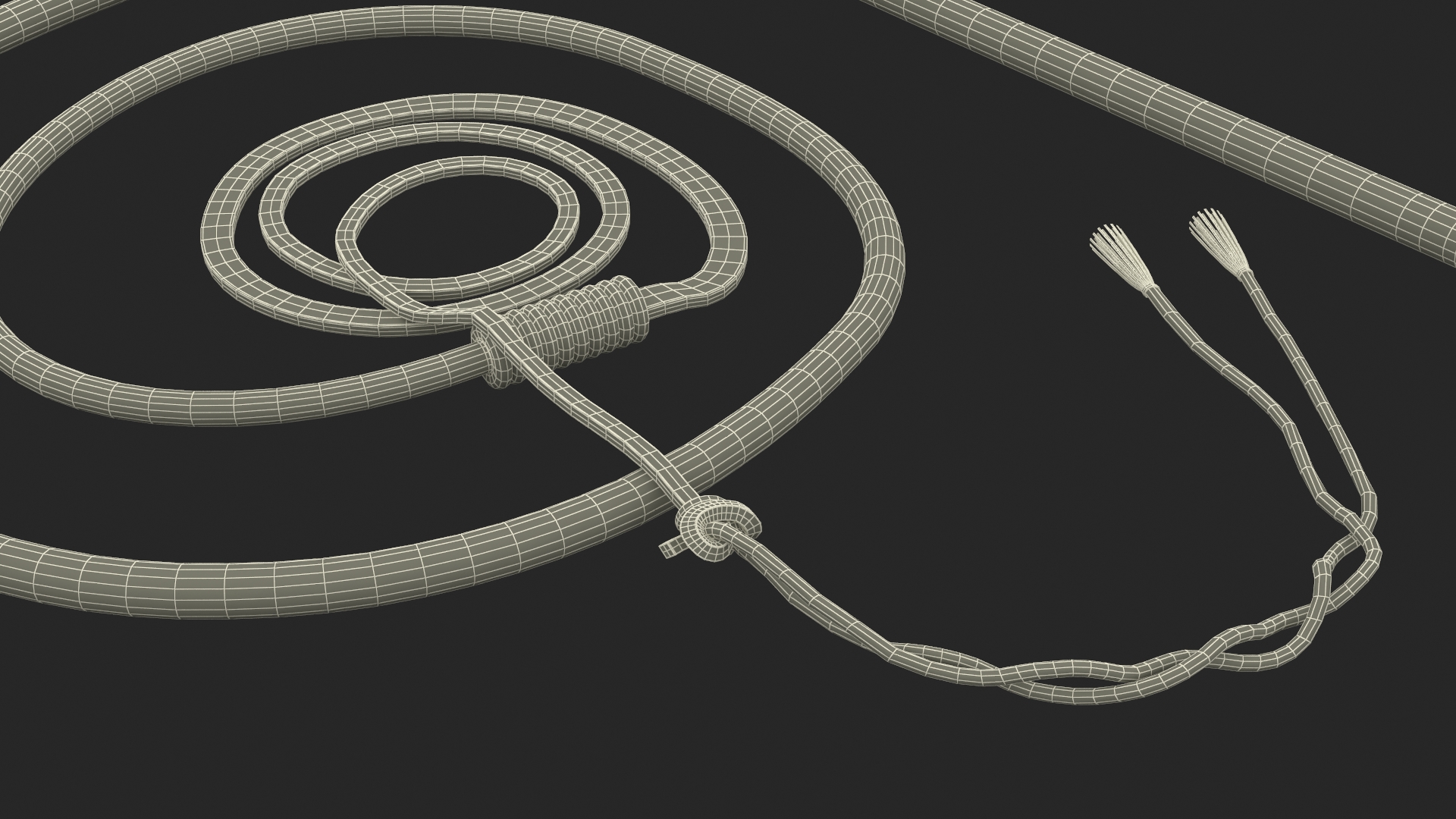 Braided Leather Bullwhip Coiled Brown 3D